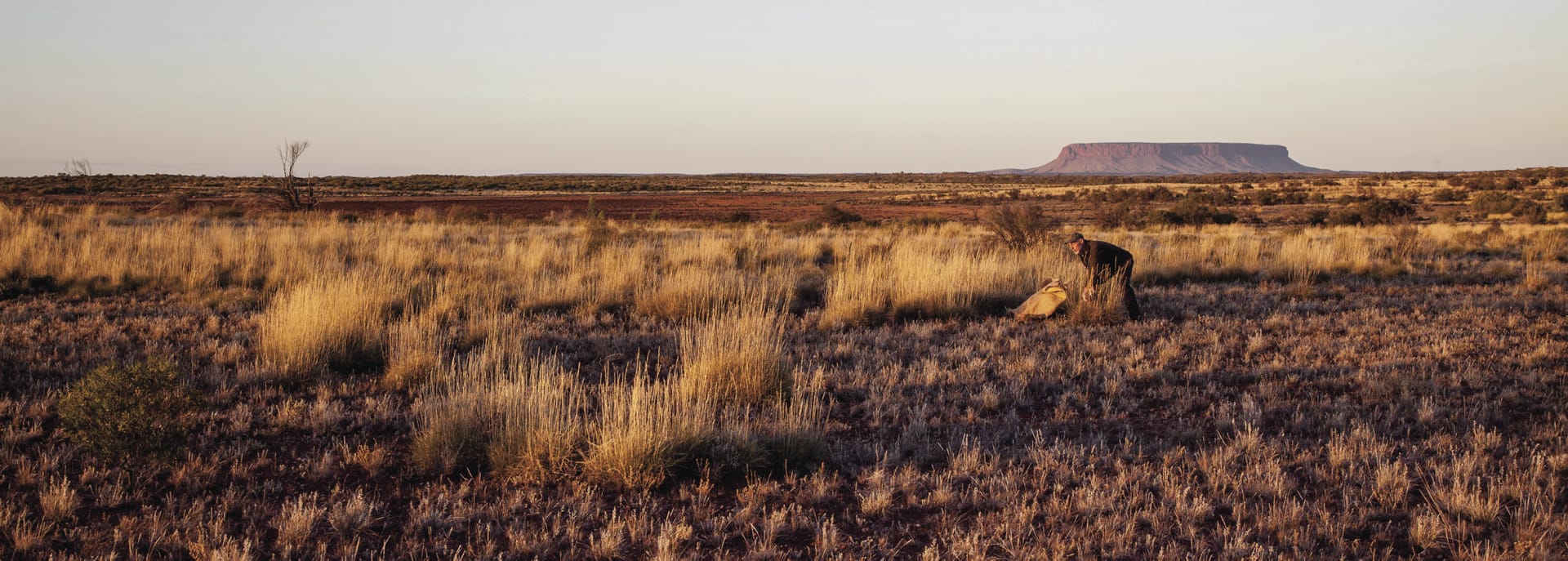 AUS_NT_012_20170913_IvB