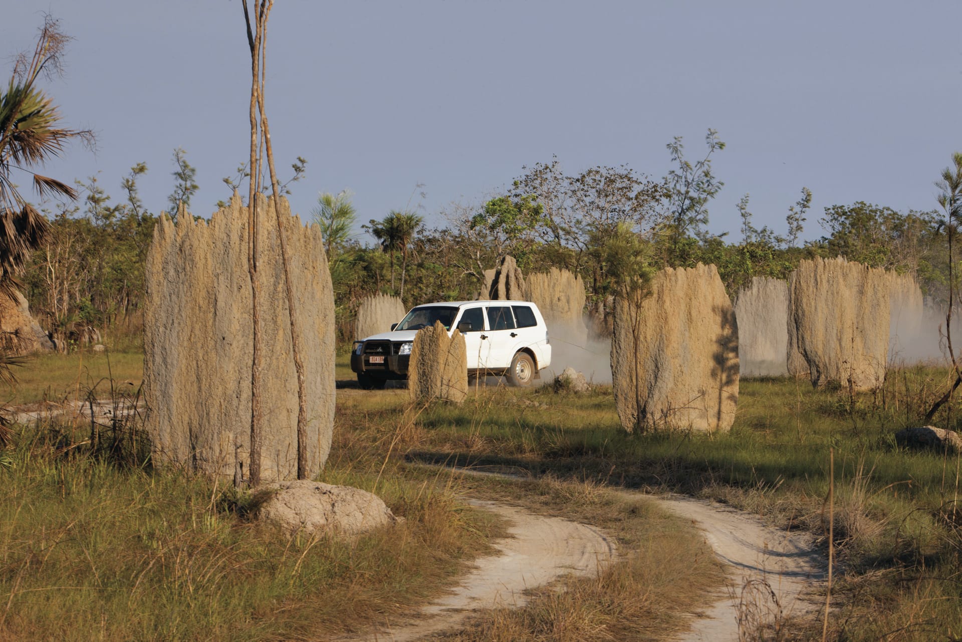 AUS_NT_016_20150924_BR