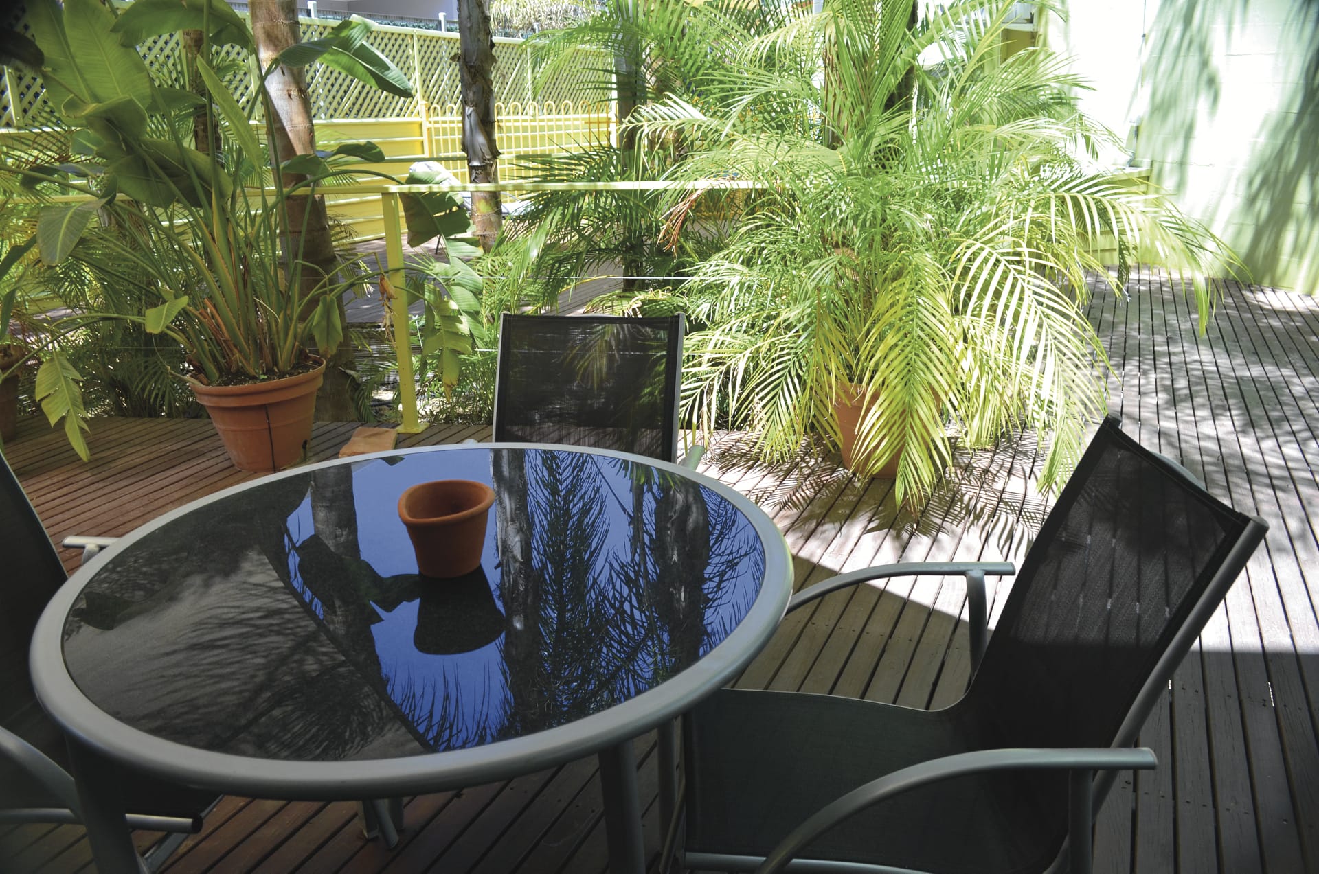 AUS_NT_017_20150817_BR