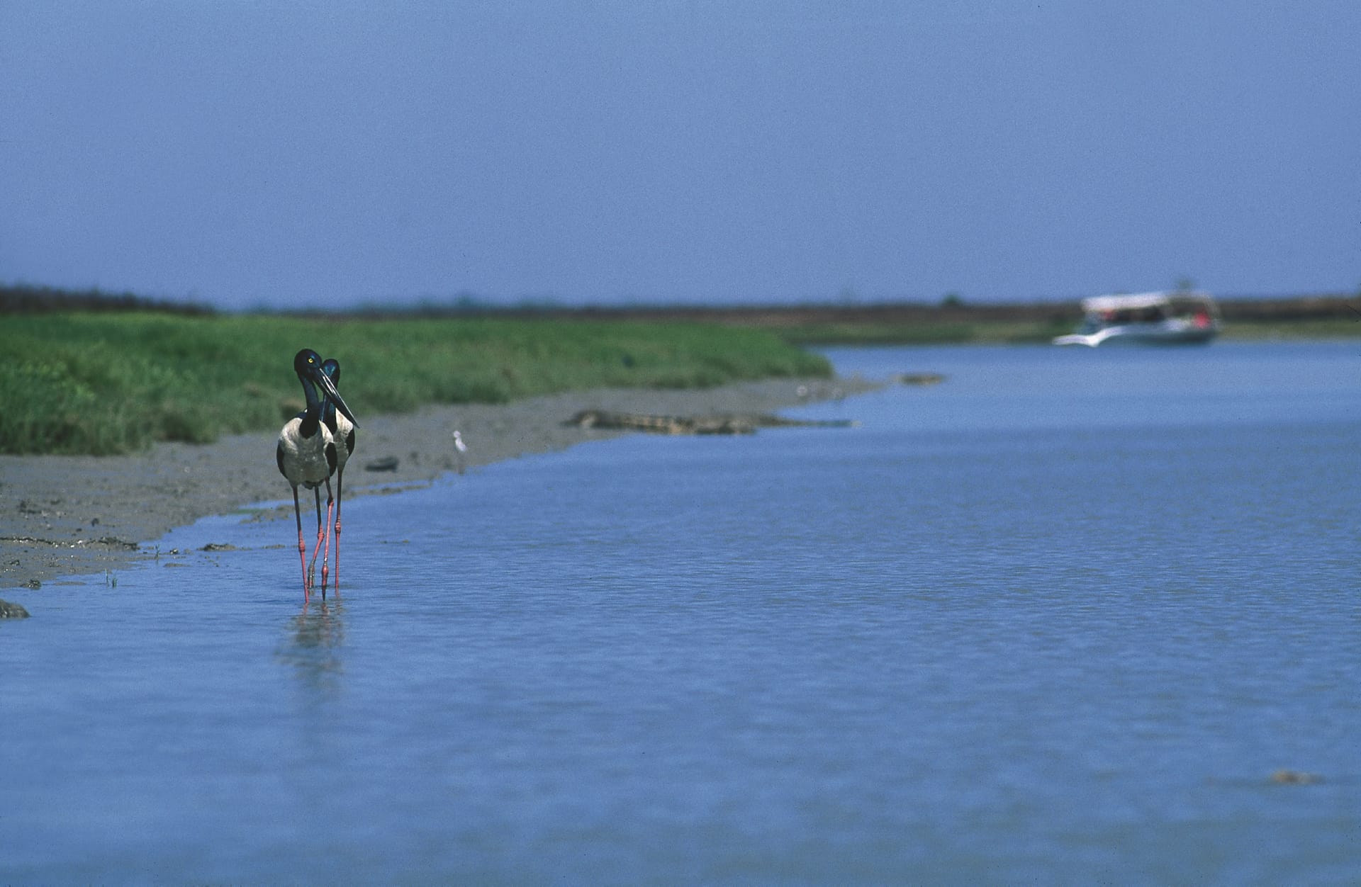 AUS_NT_137_20070223_BR