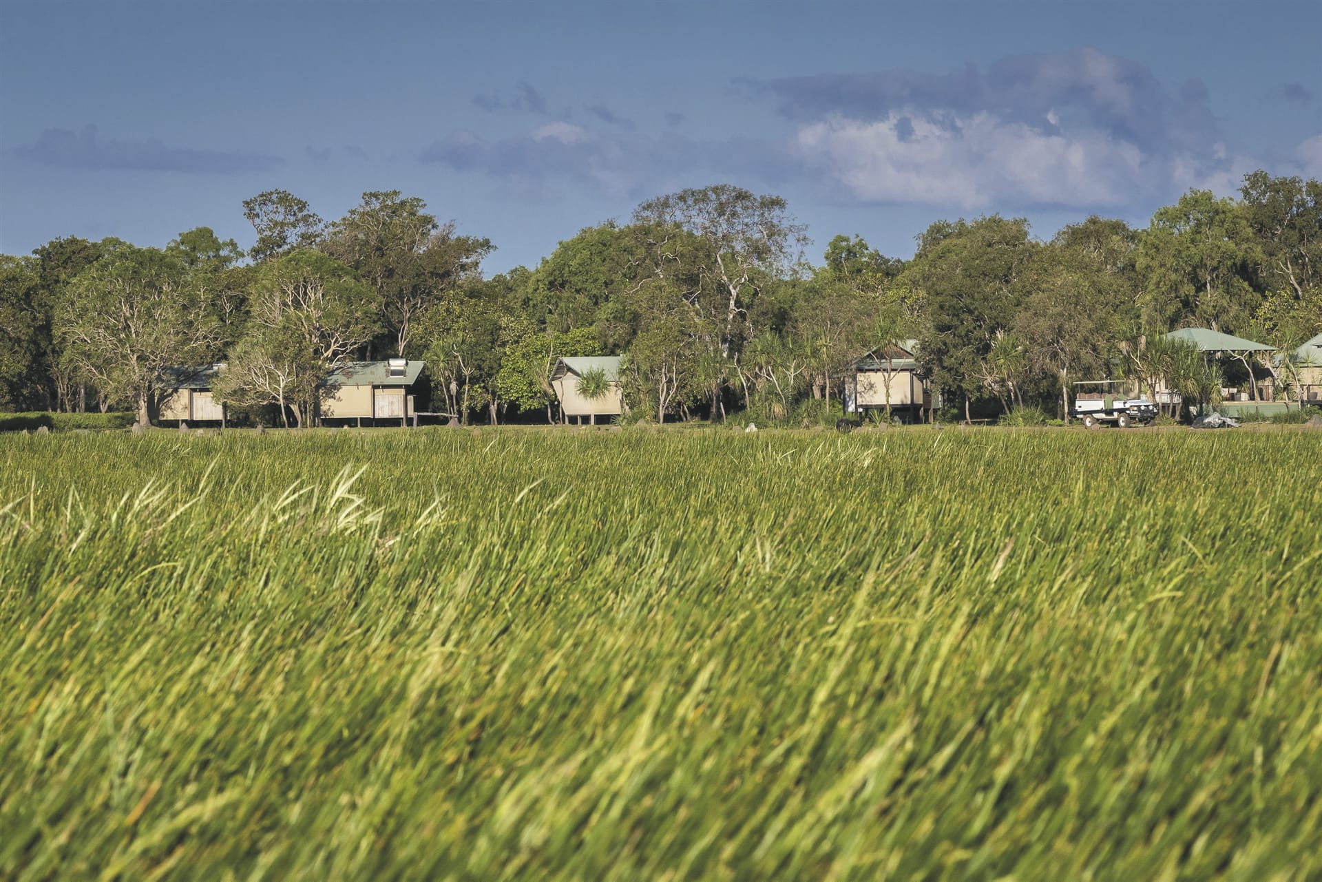 AUS_NT_20190725_BR_19