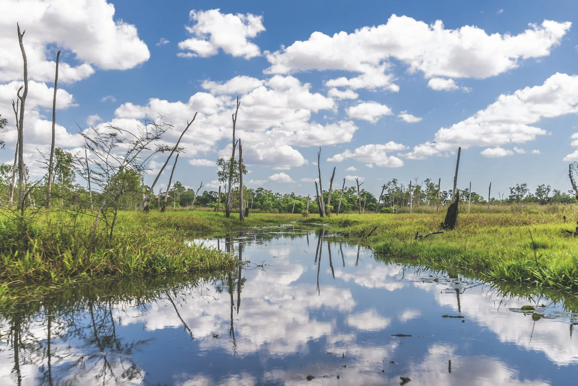 AUS_NT_20190918_IVB_11