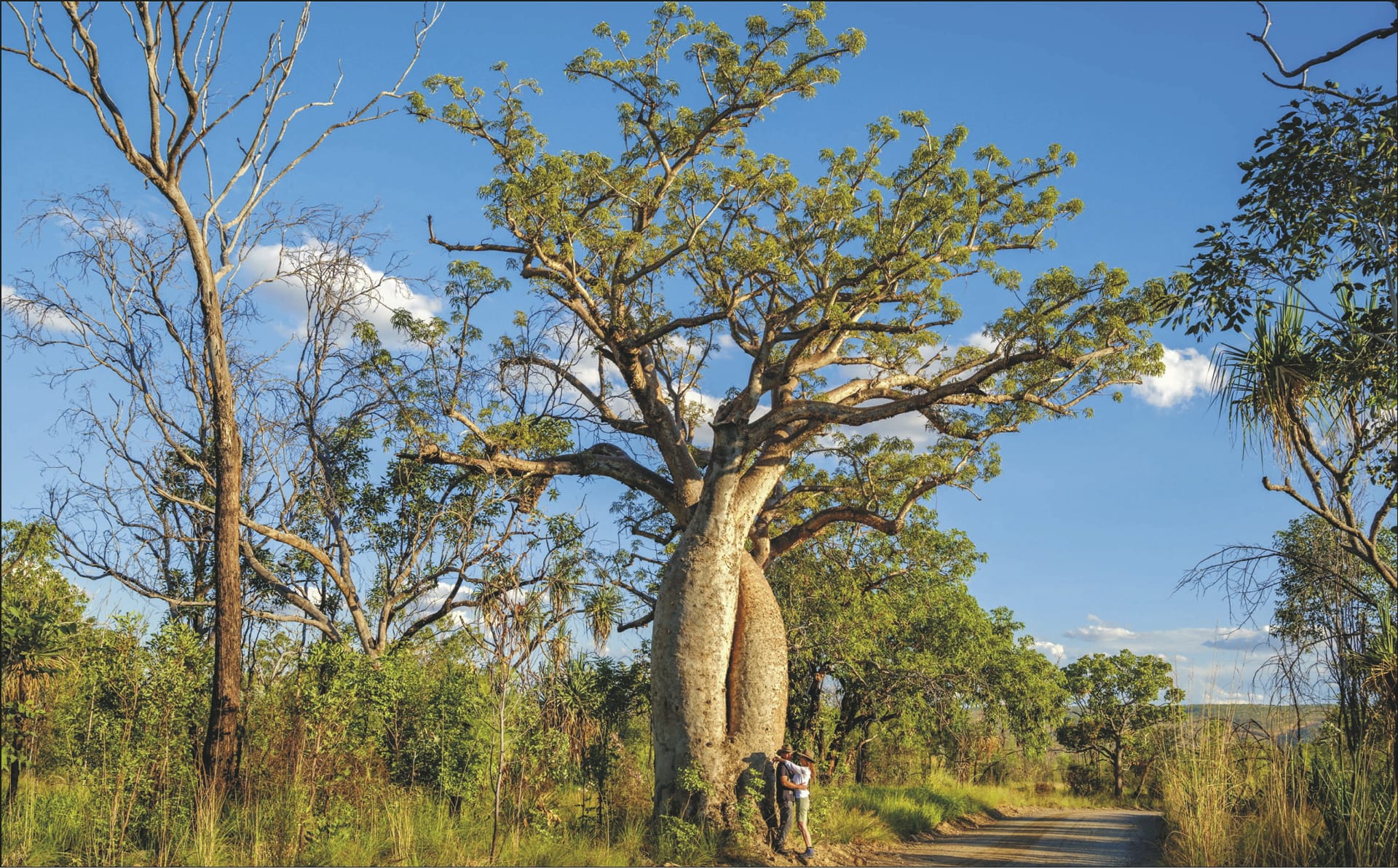 AUS_NT_20220901_BR_4