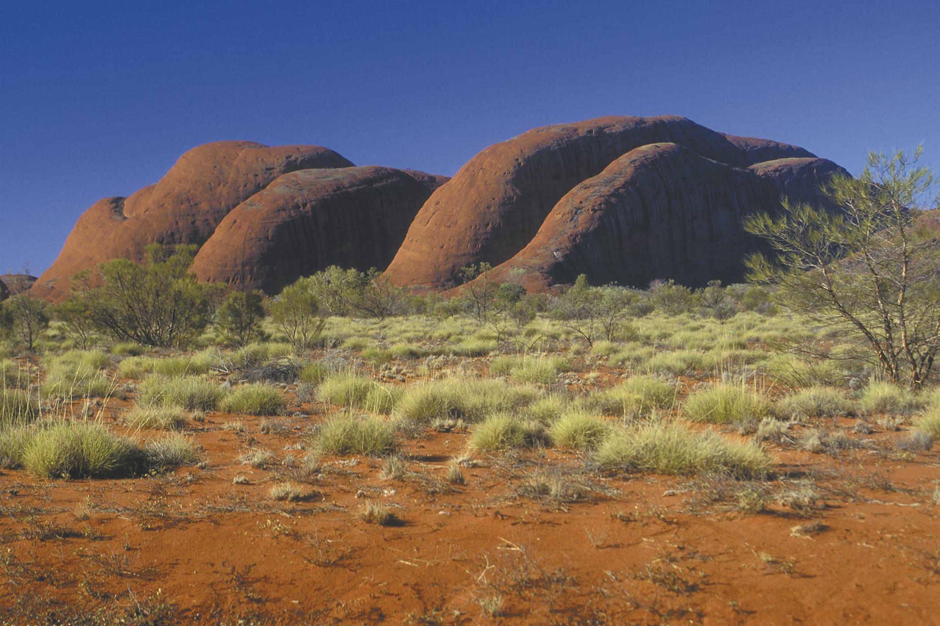 AUS_NT_790_20070914_IVB