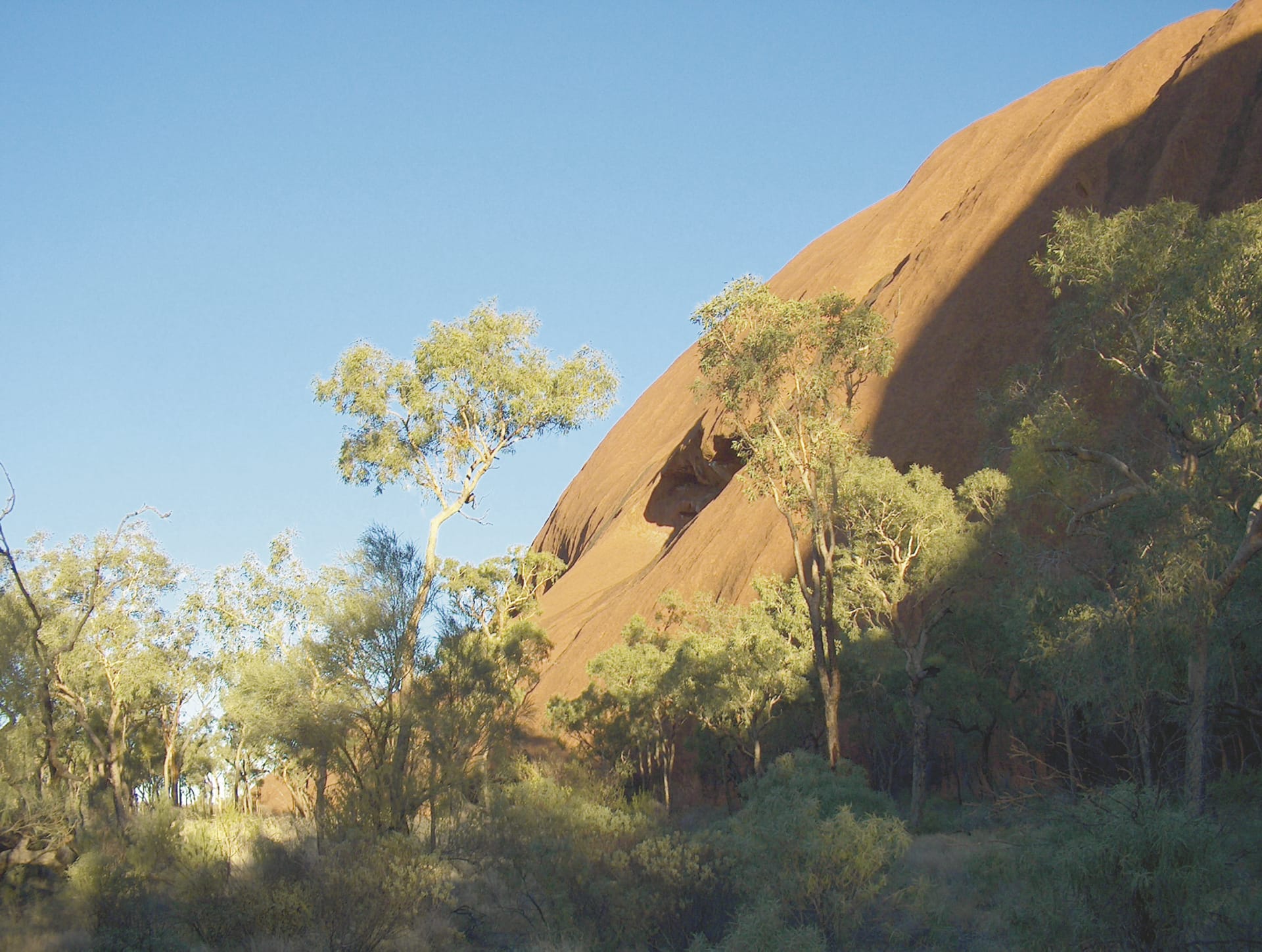 AUS_NT_847_20070920_IVB