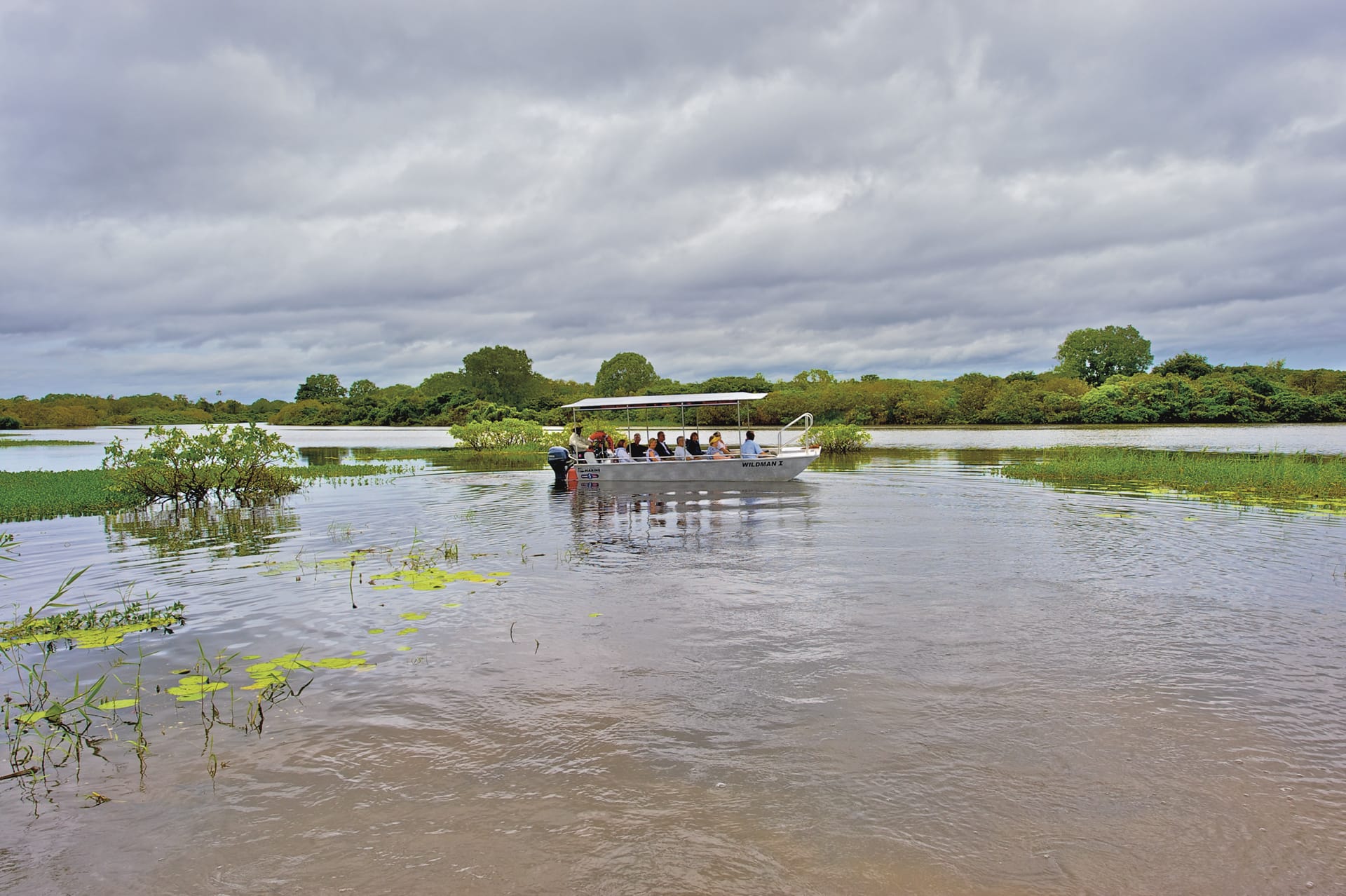 AUS_NT_869_20110901_BR