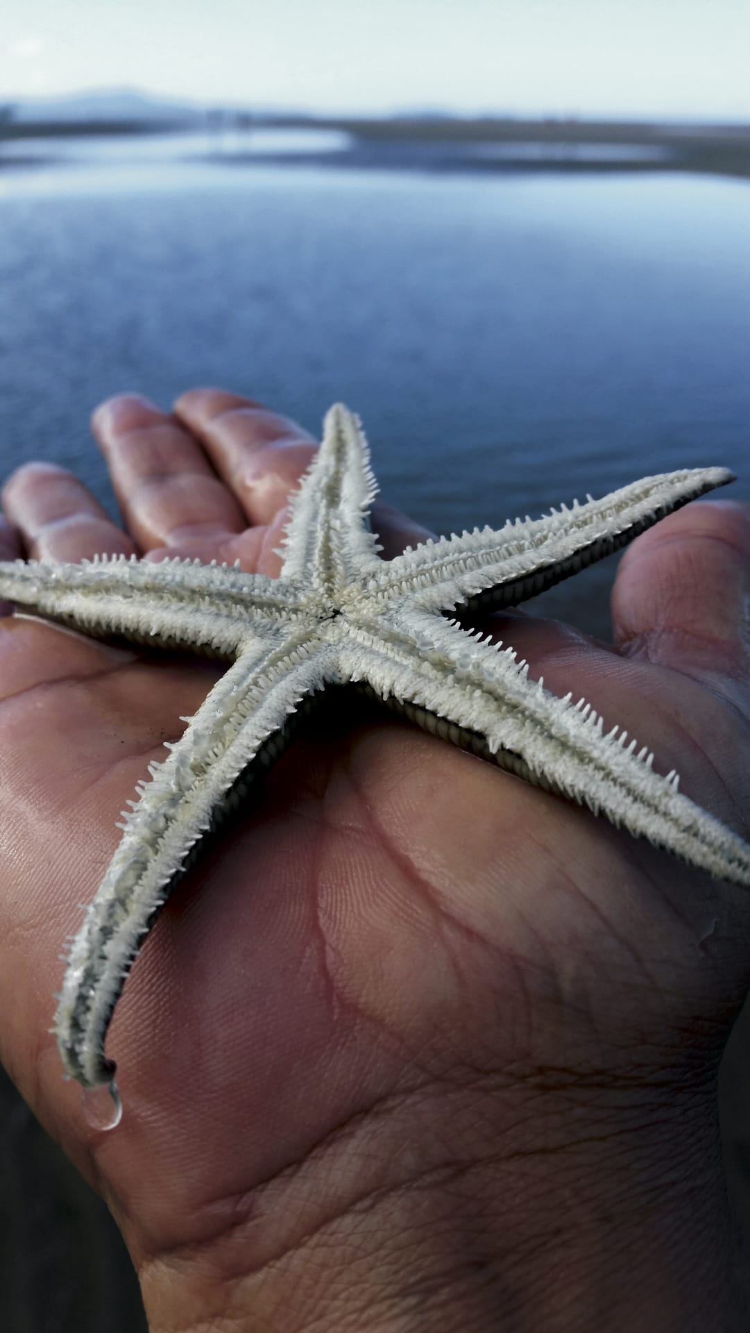 AUS_QLD_002_20151008_IvB