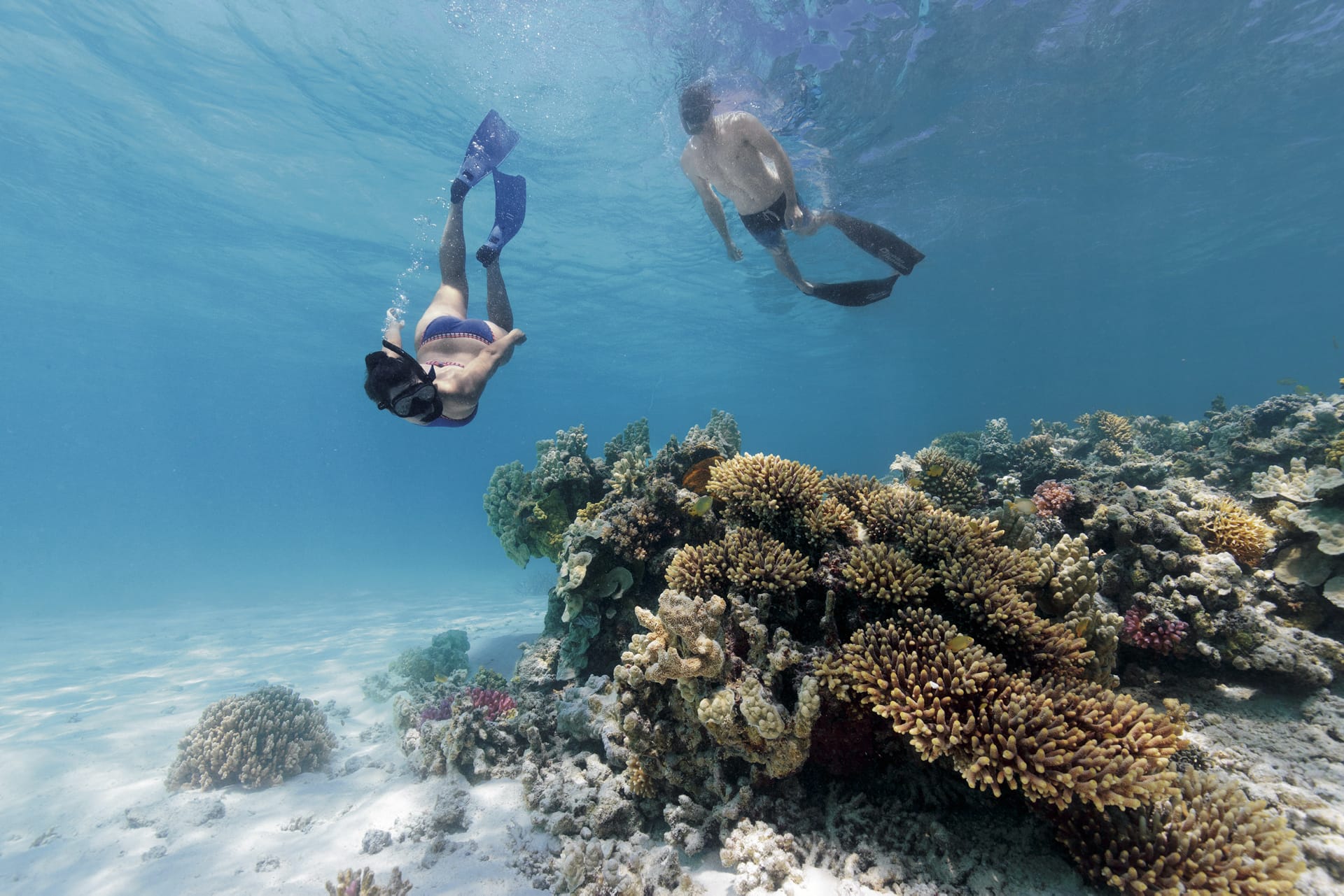 AUS_QLD_008_20161110_