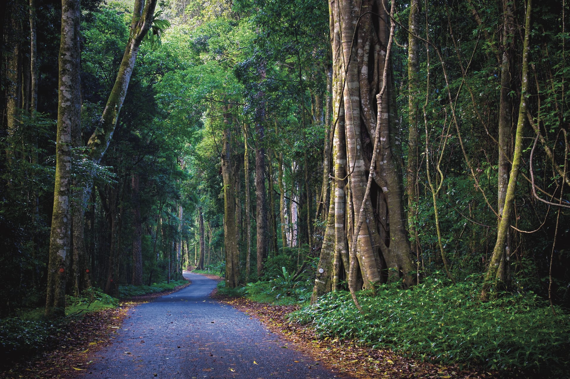 AUS_QLD_013_20150902_BR