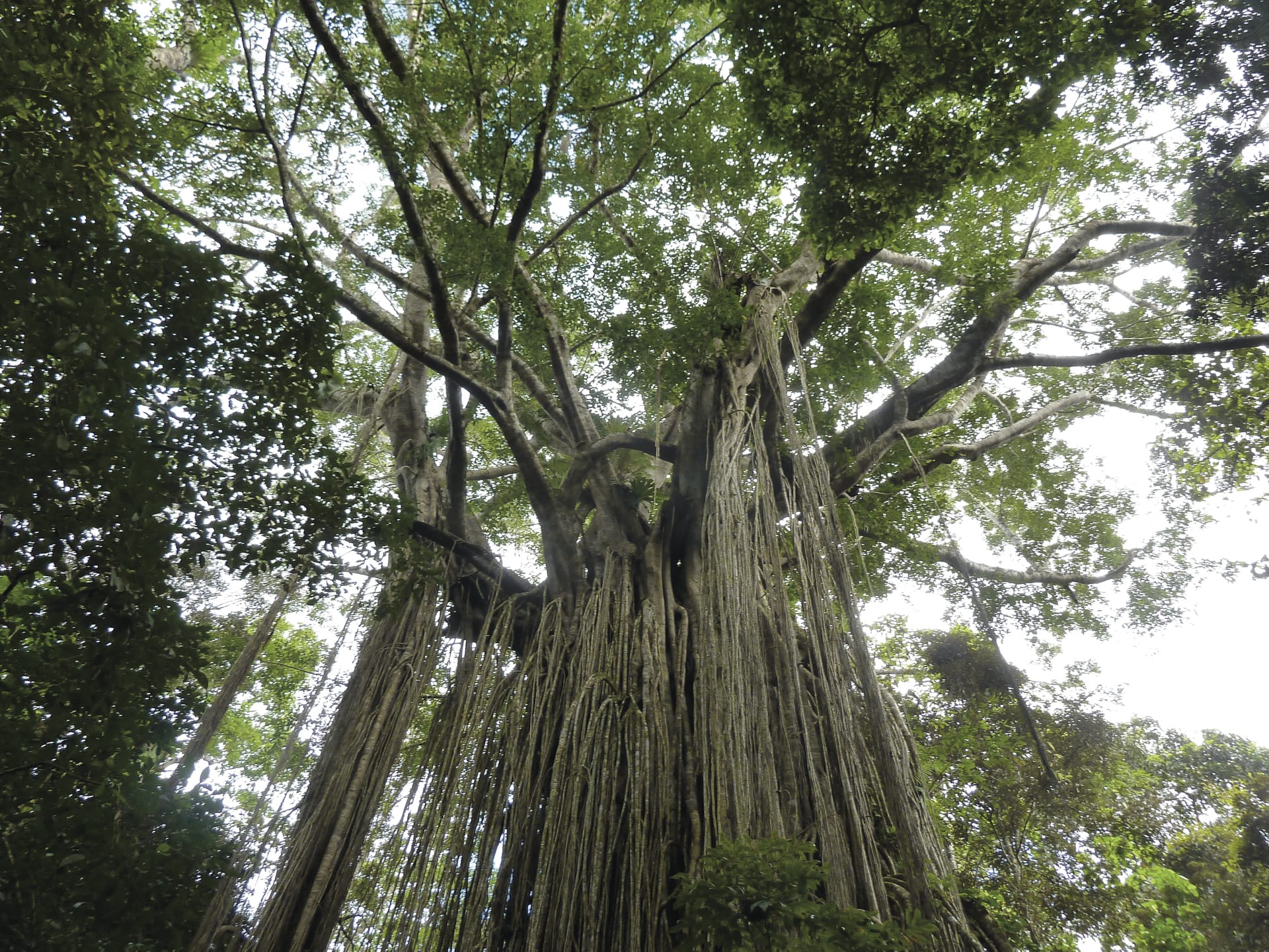 AUS_QLD_015_20140709_IvB