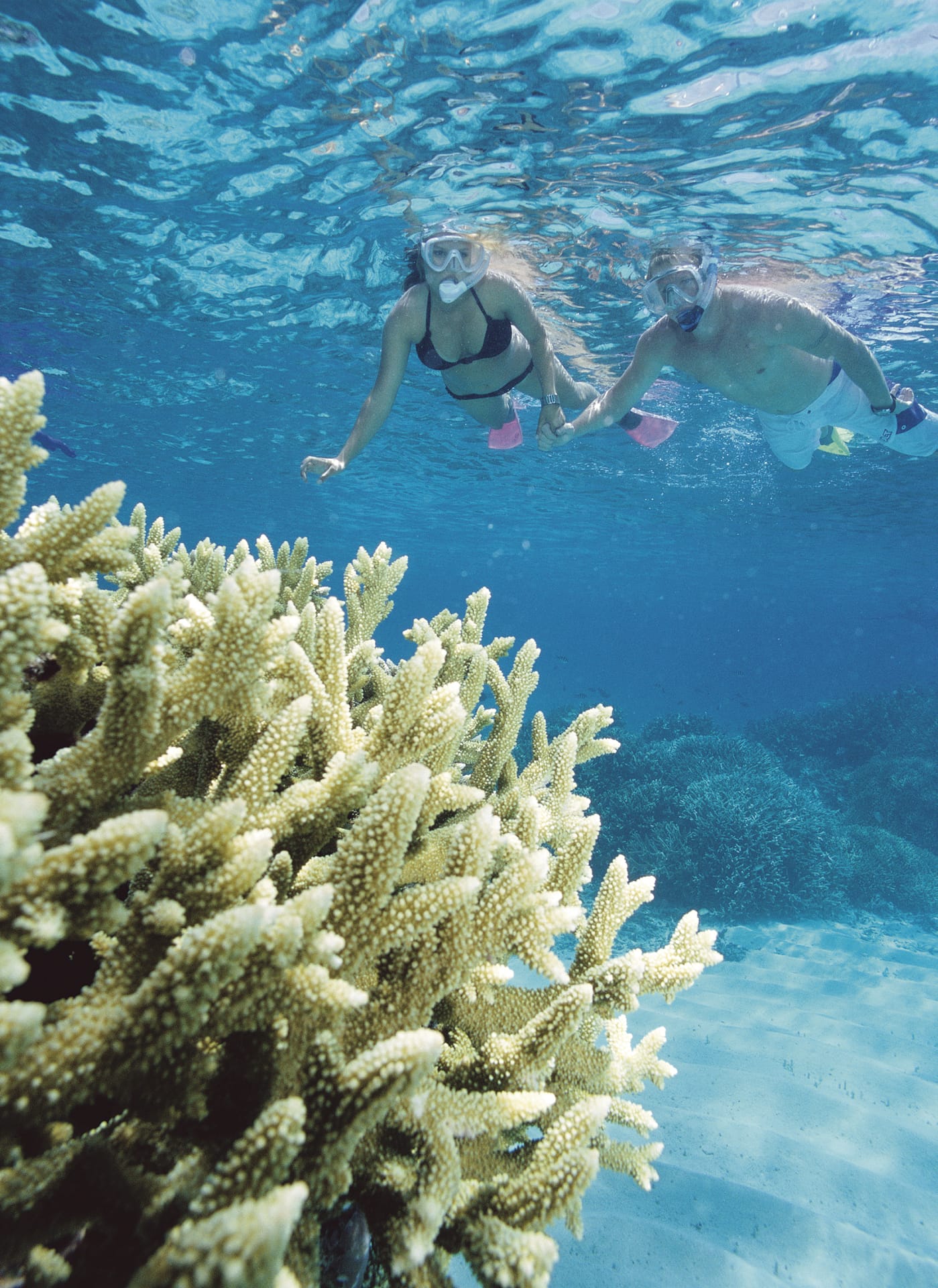 AUS_QLD_022_20140130_IvB