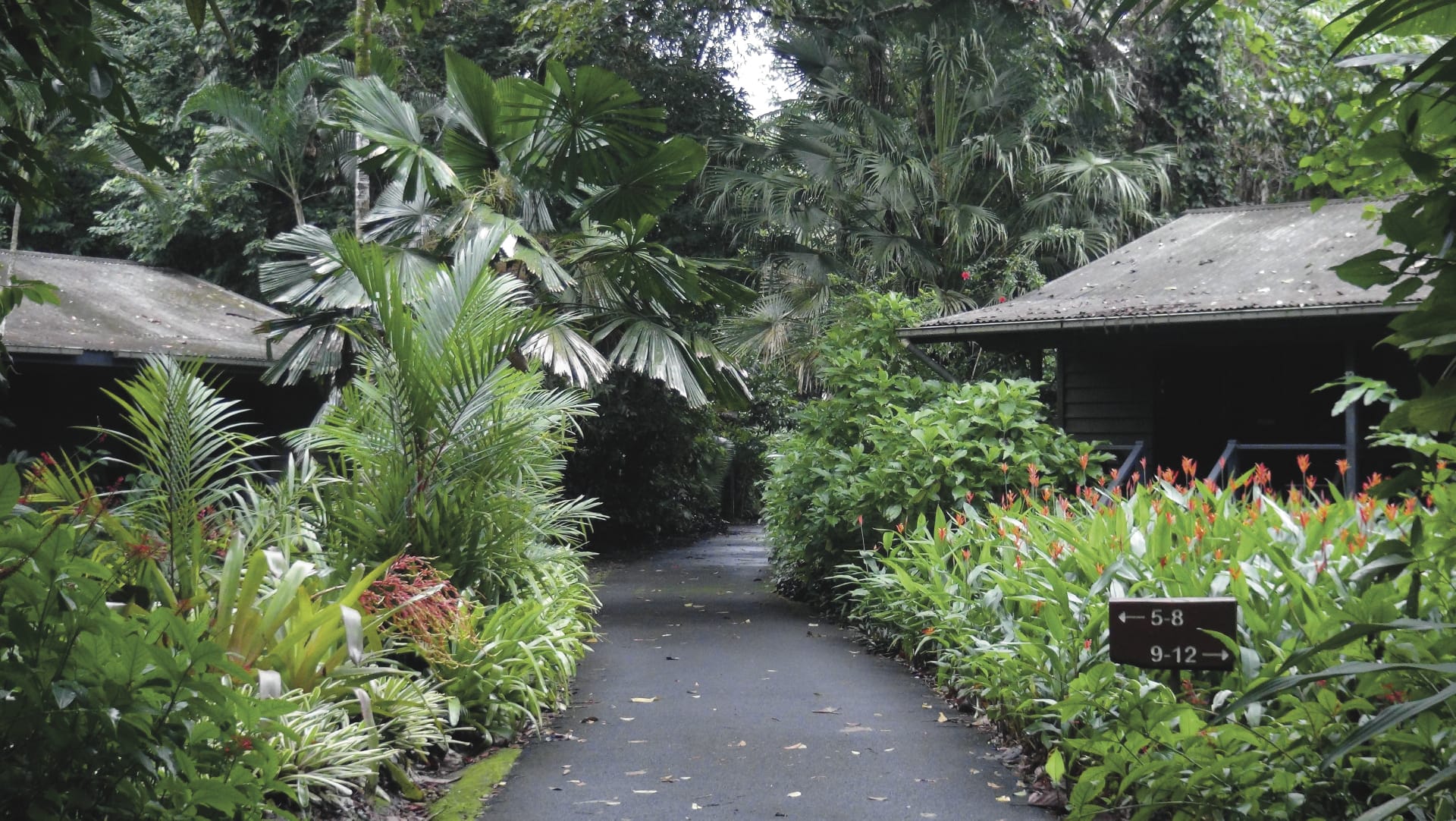 AUS_QLD_022_20170816_BR