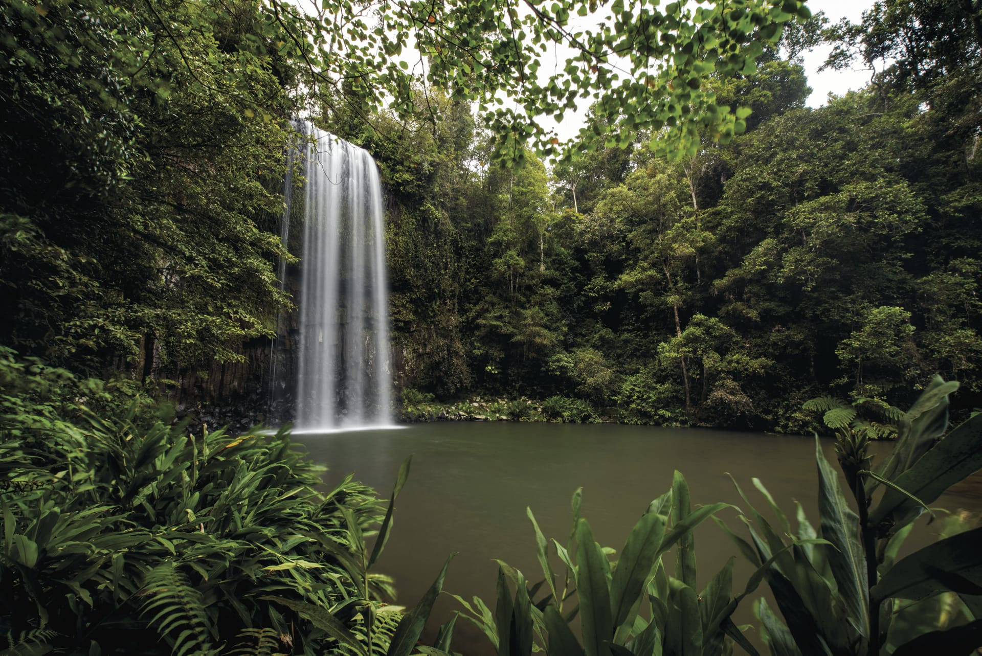 AUS_QLD_041_20170906_IvB