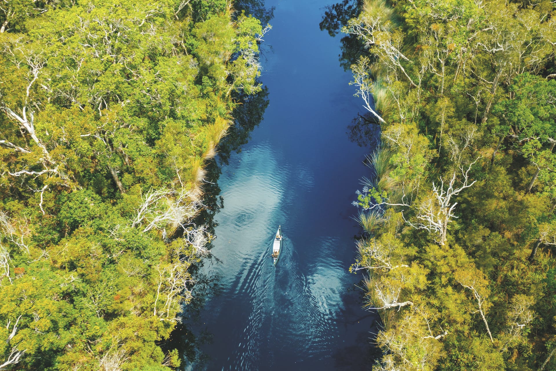 AUS_QLD_20190925_IVB_7