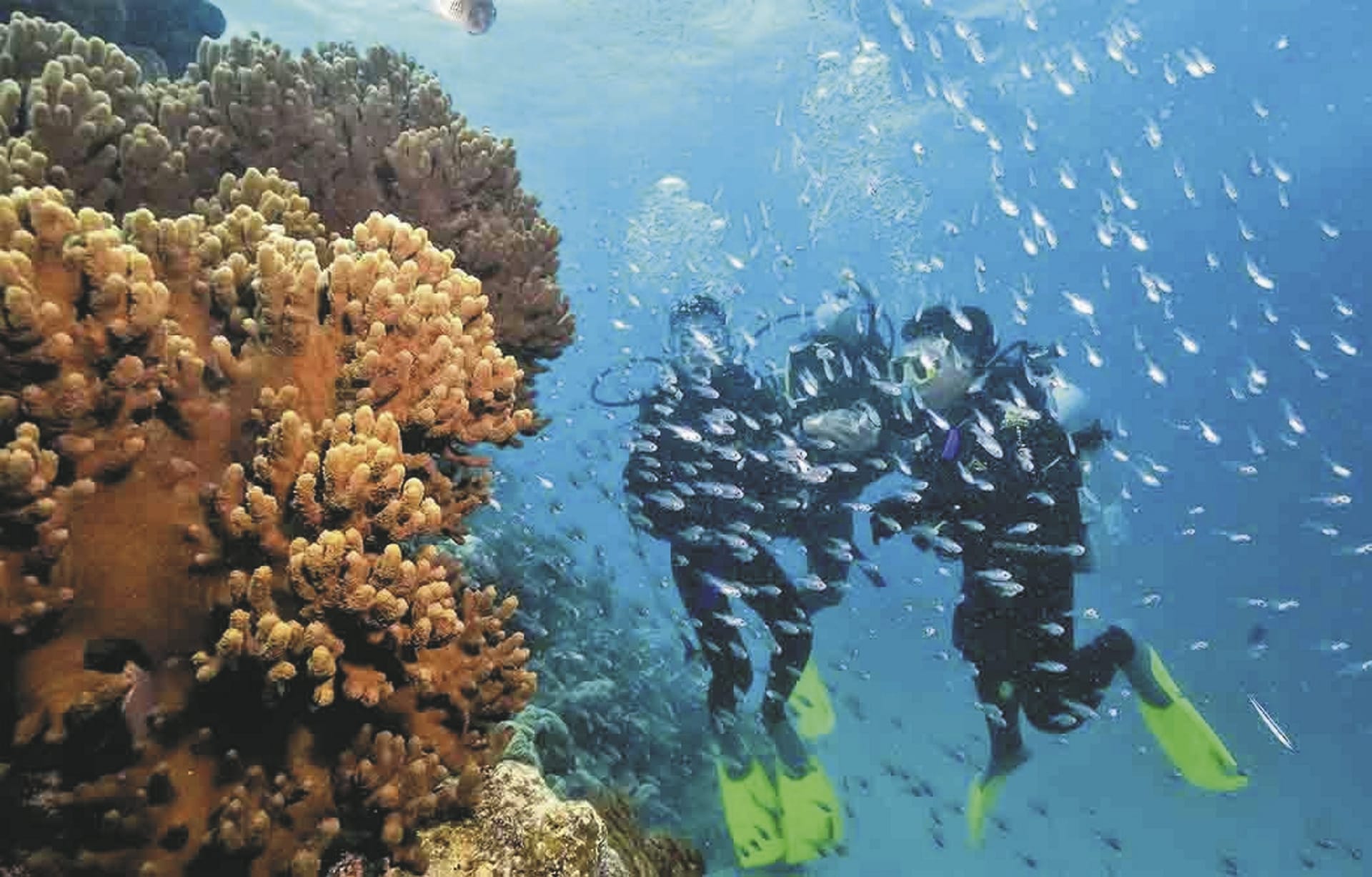 AUS_QLD_20191013_IVB_16