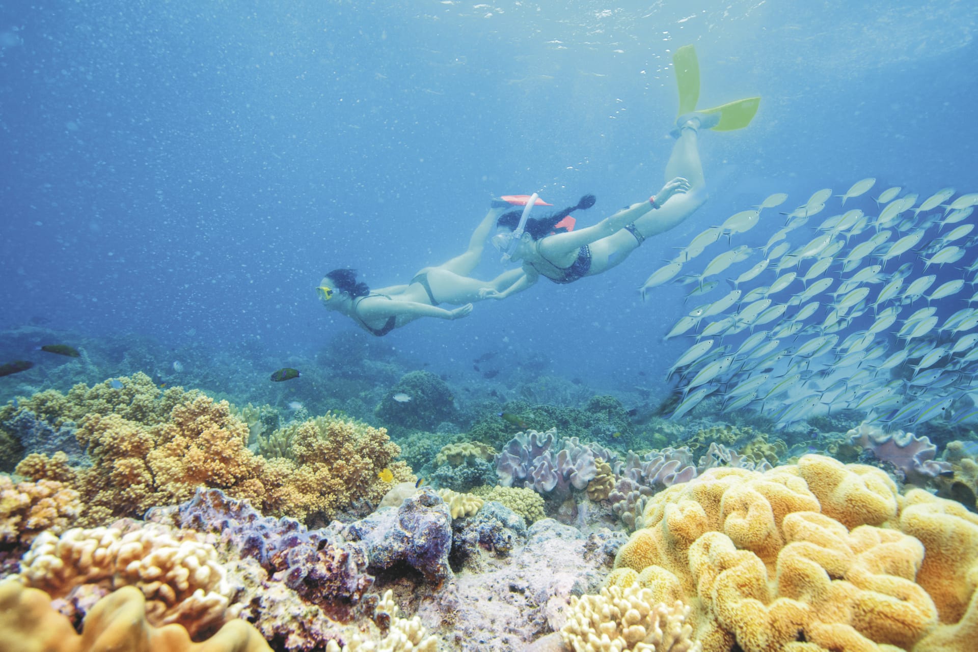 AUS_QLD_20191013_IVB_17