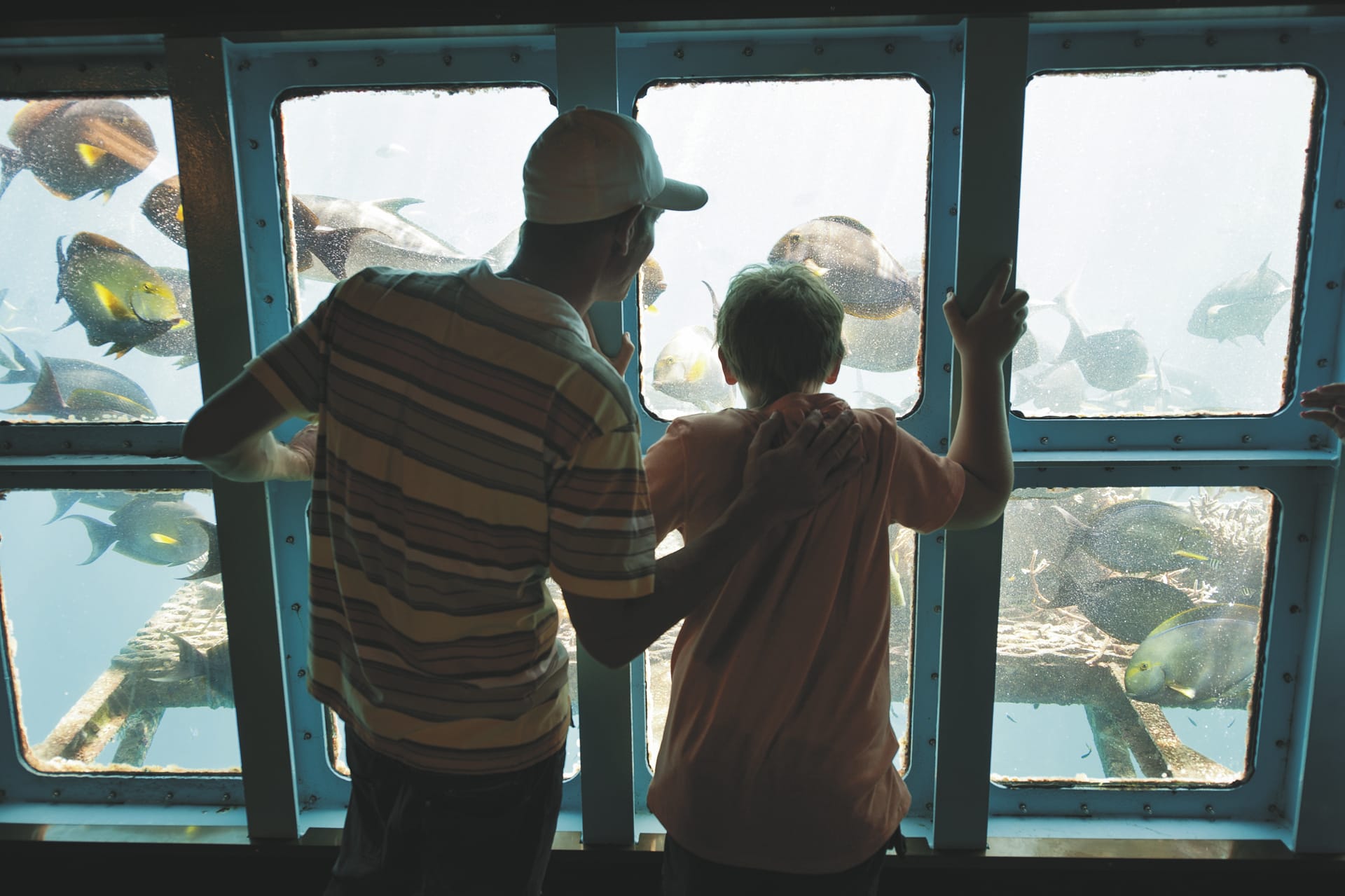 AUS_QLD_20191013_IVB_19