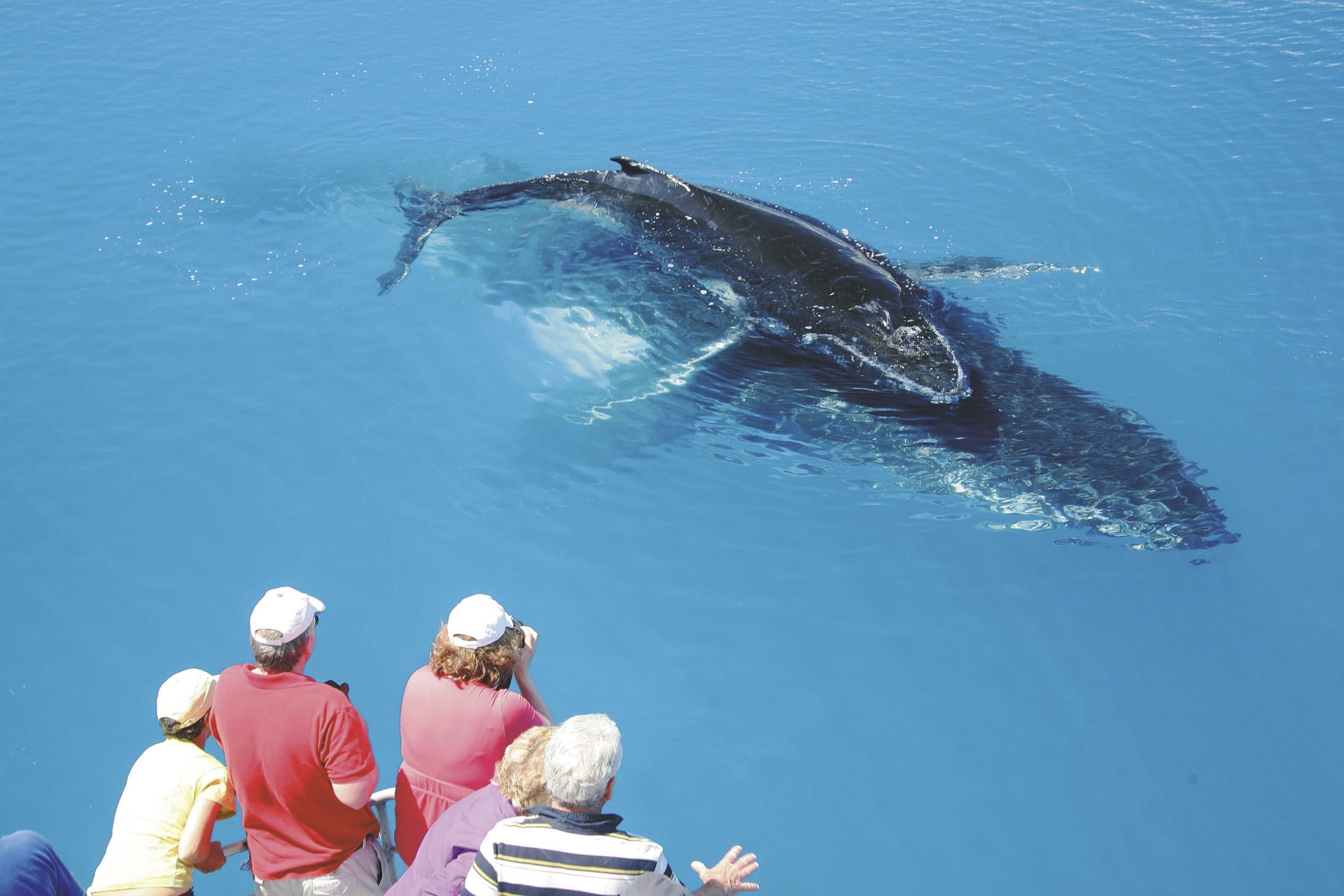 AUS_QLD_20220907_IVB_3