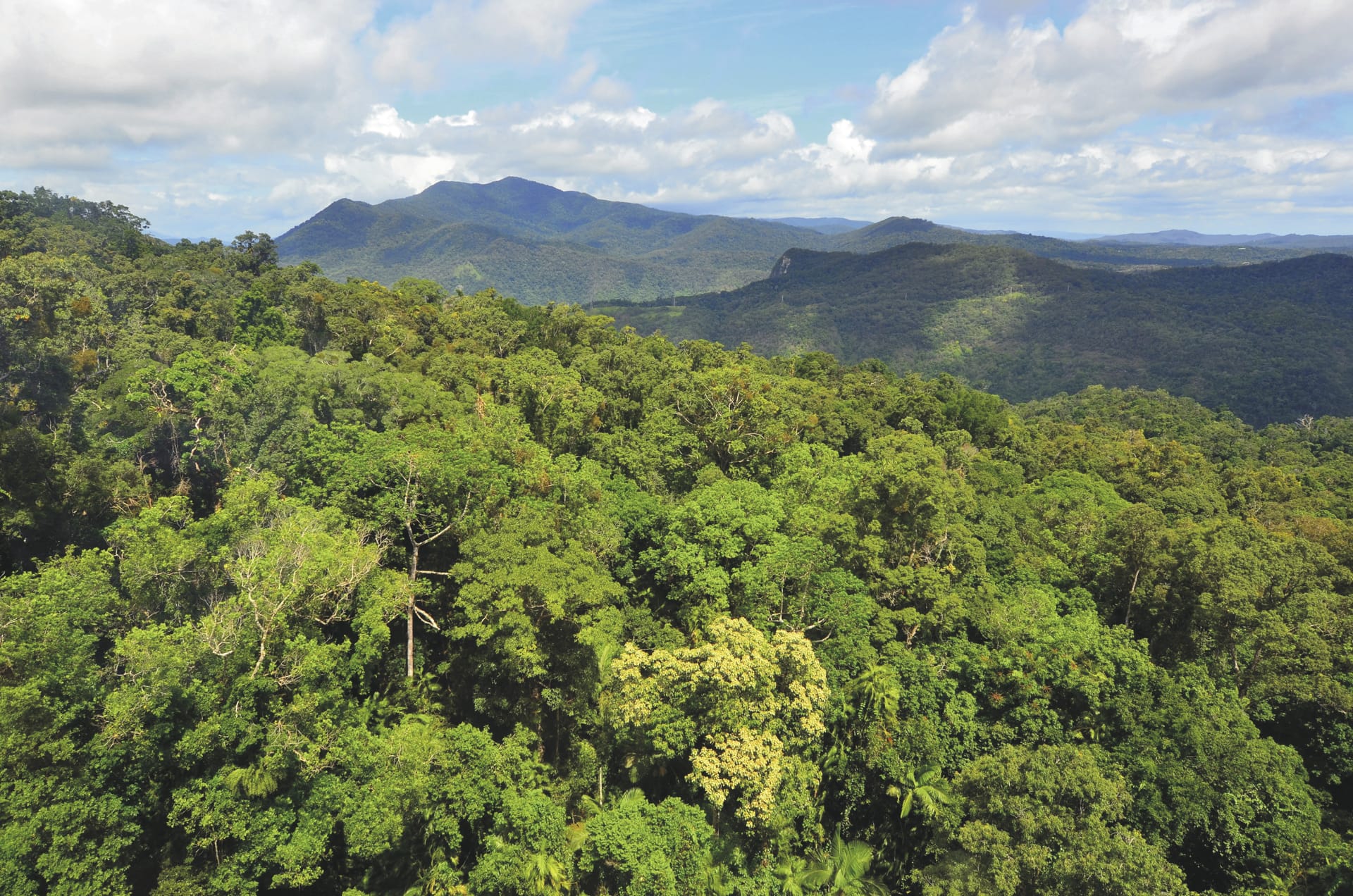 AUS_QLD_20221028_IVB