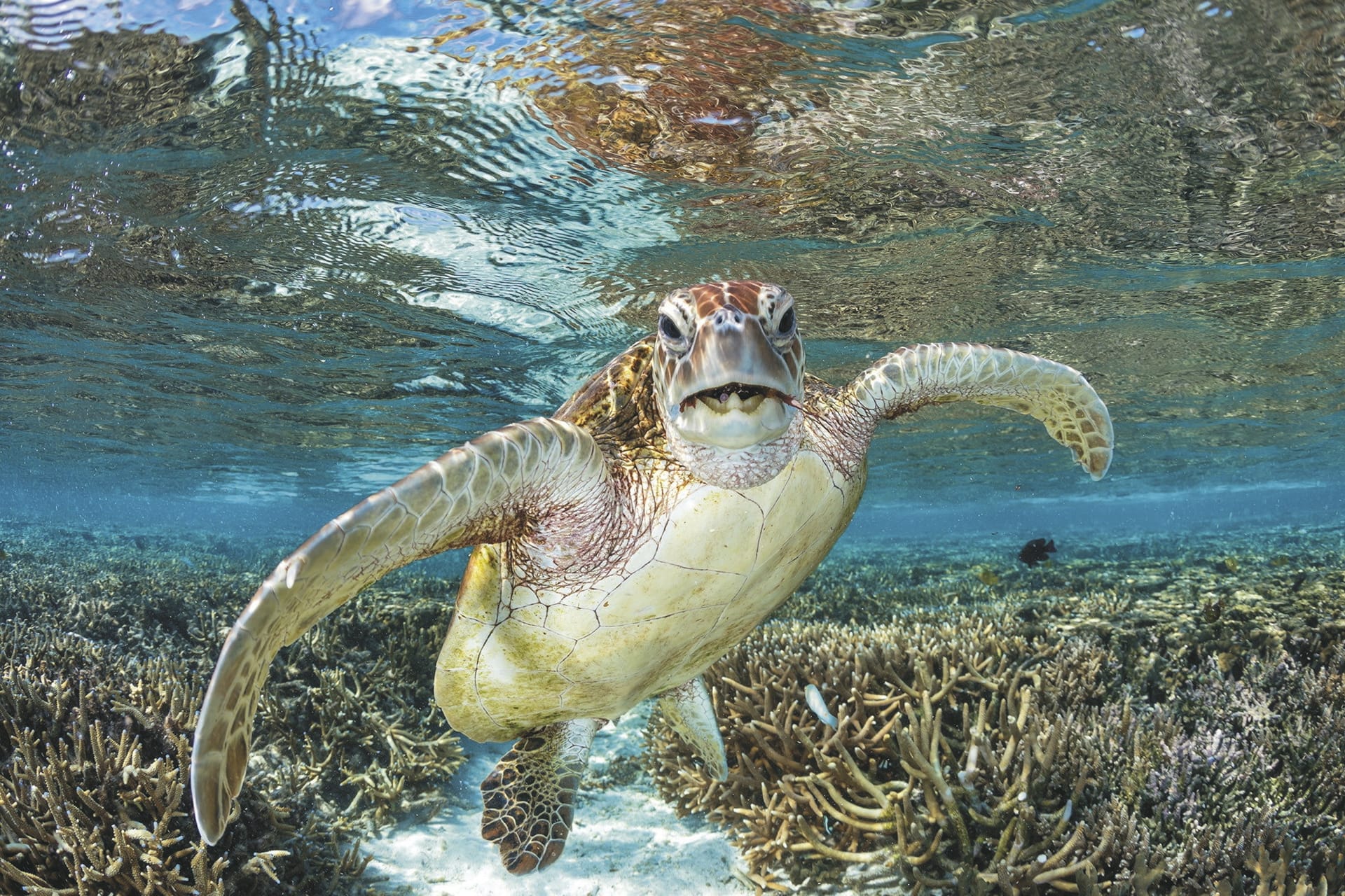 AUS_QLD_20221102_IVB_4