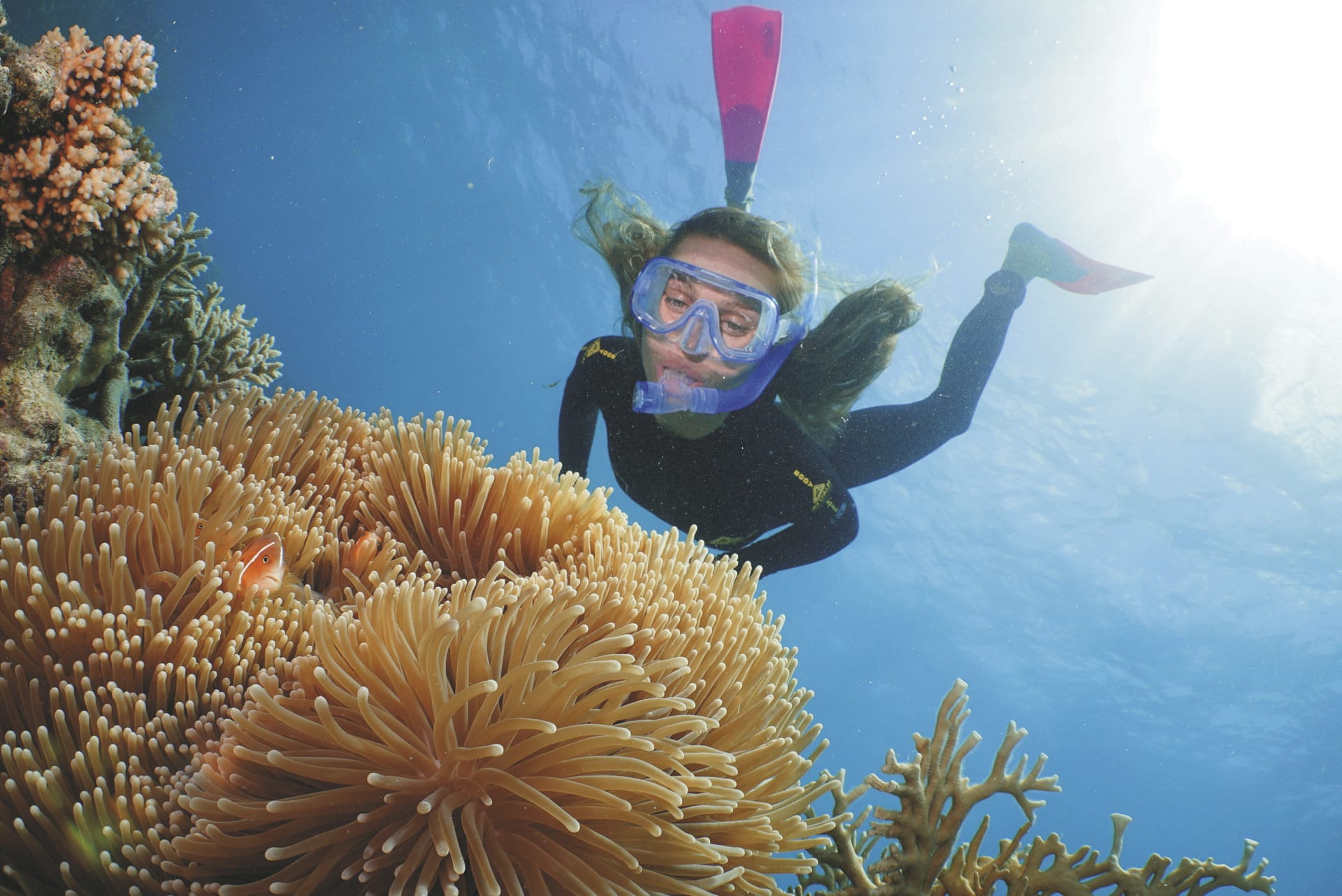 AUS_QLD_20230331_SWA_3