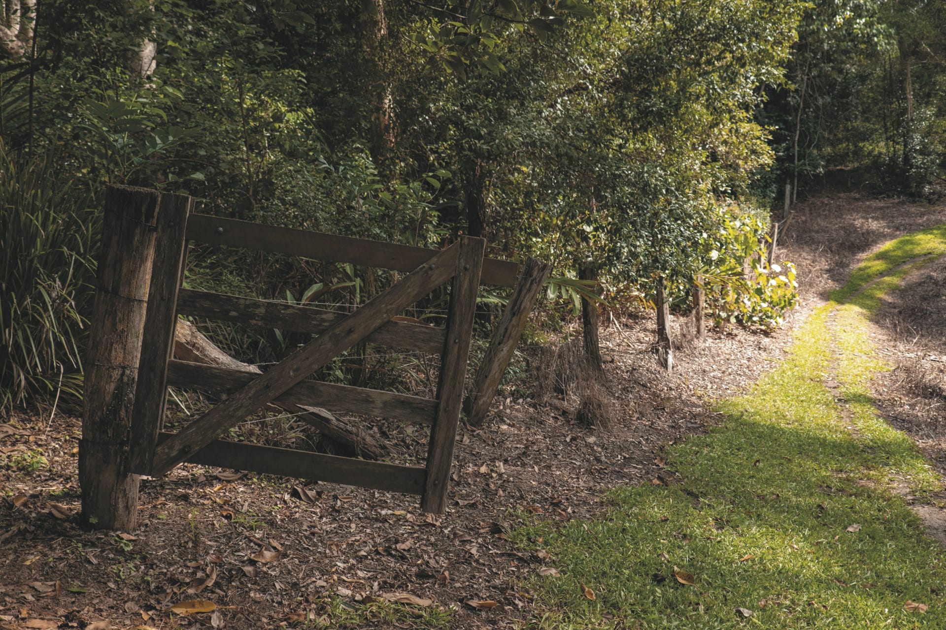 AUS_QLD_20231010_BR_17