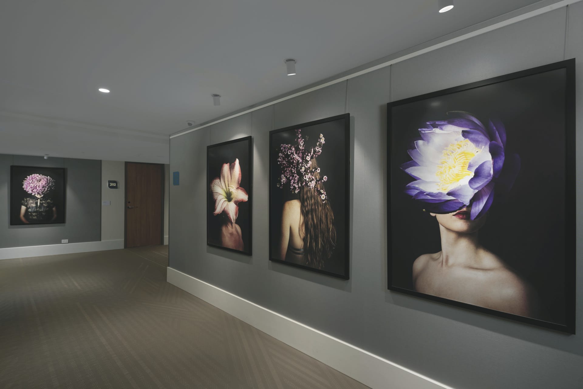 AUS_QLD_20241122_BR_19