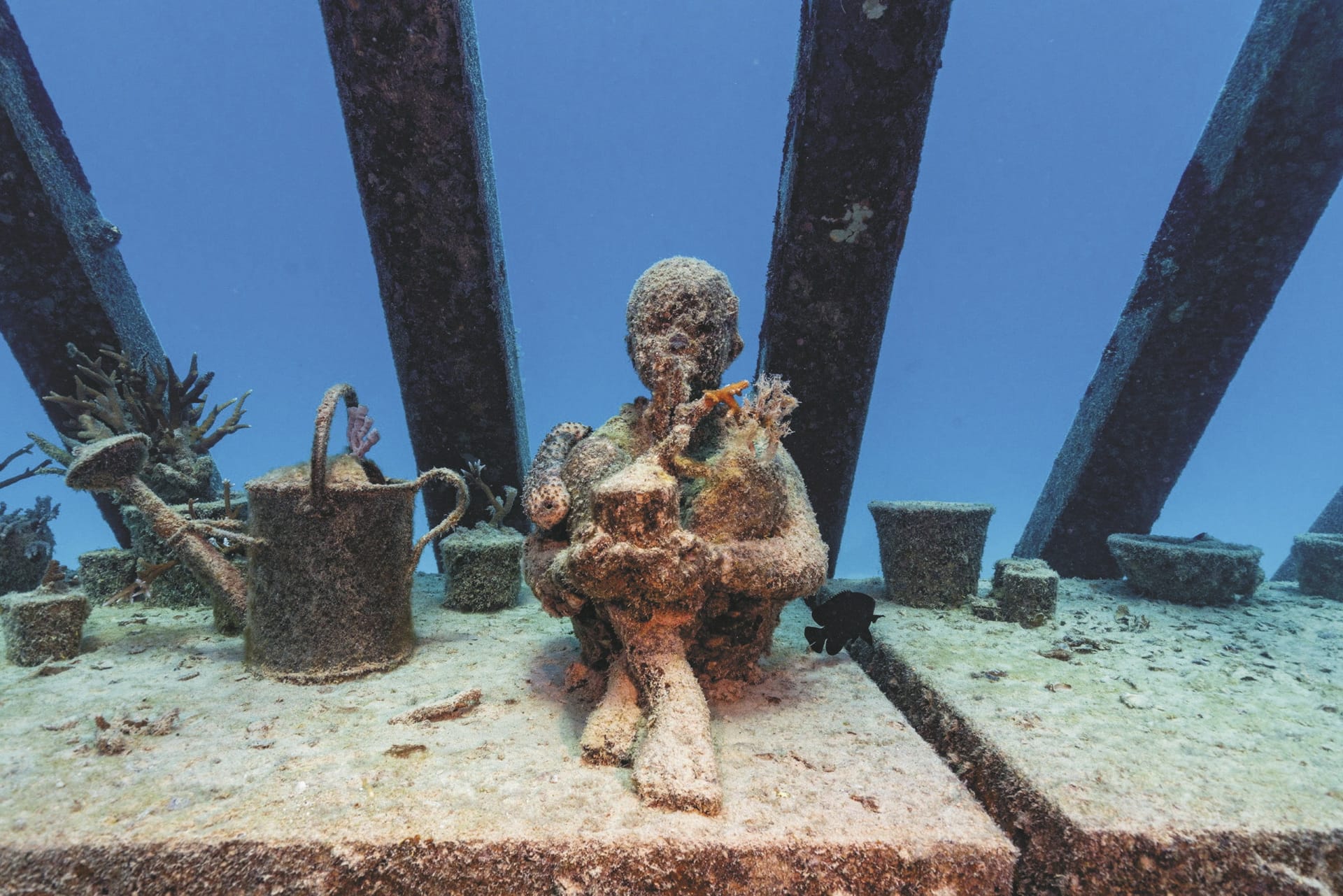 AUS_QLD_20241218_IVB_2