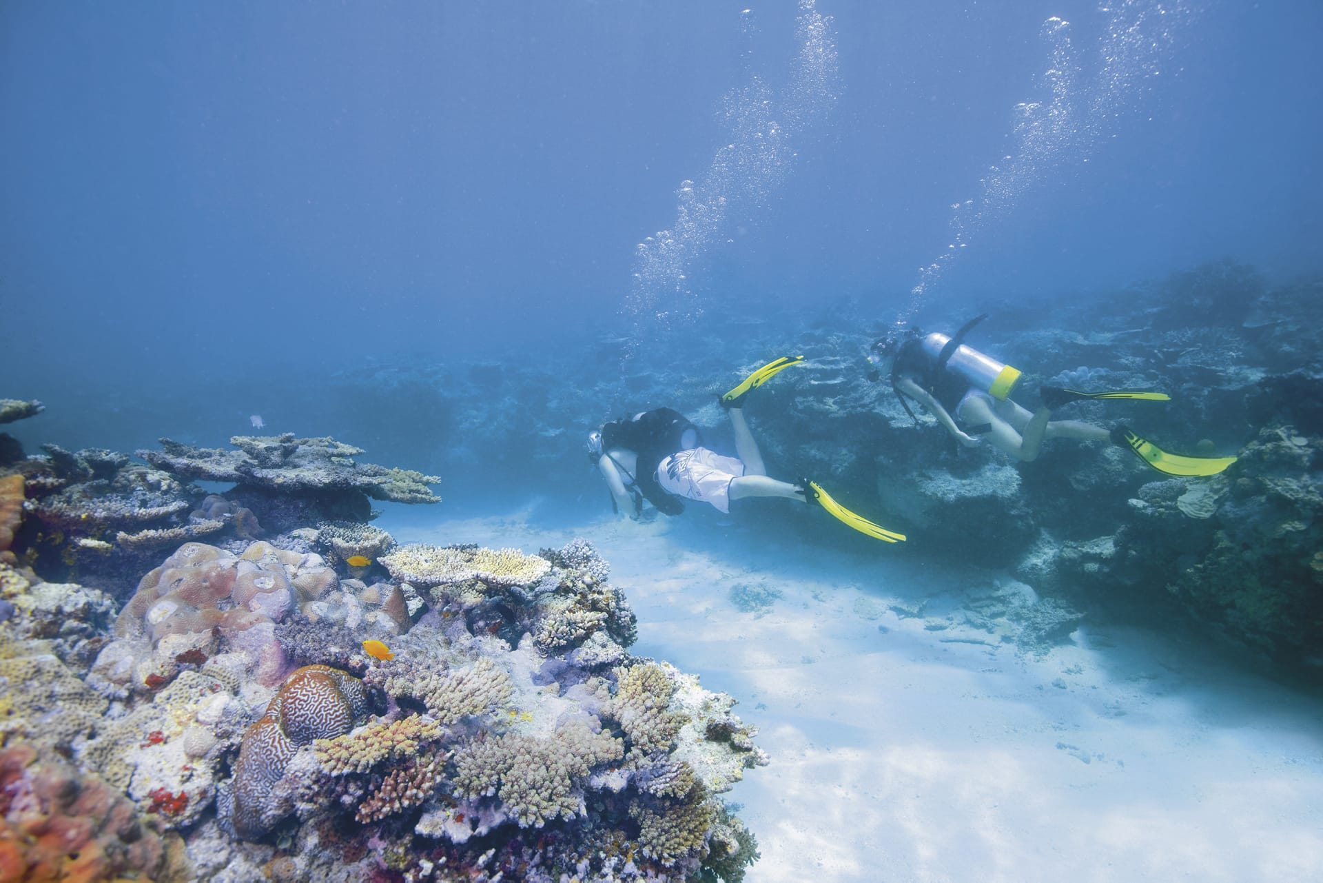 AUS_QLD_216_20100628_SS