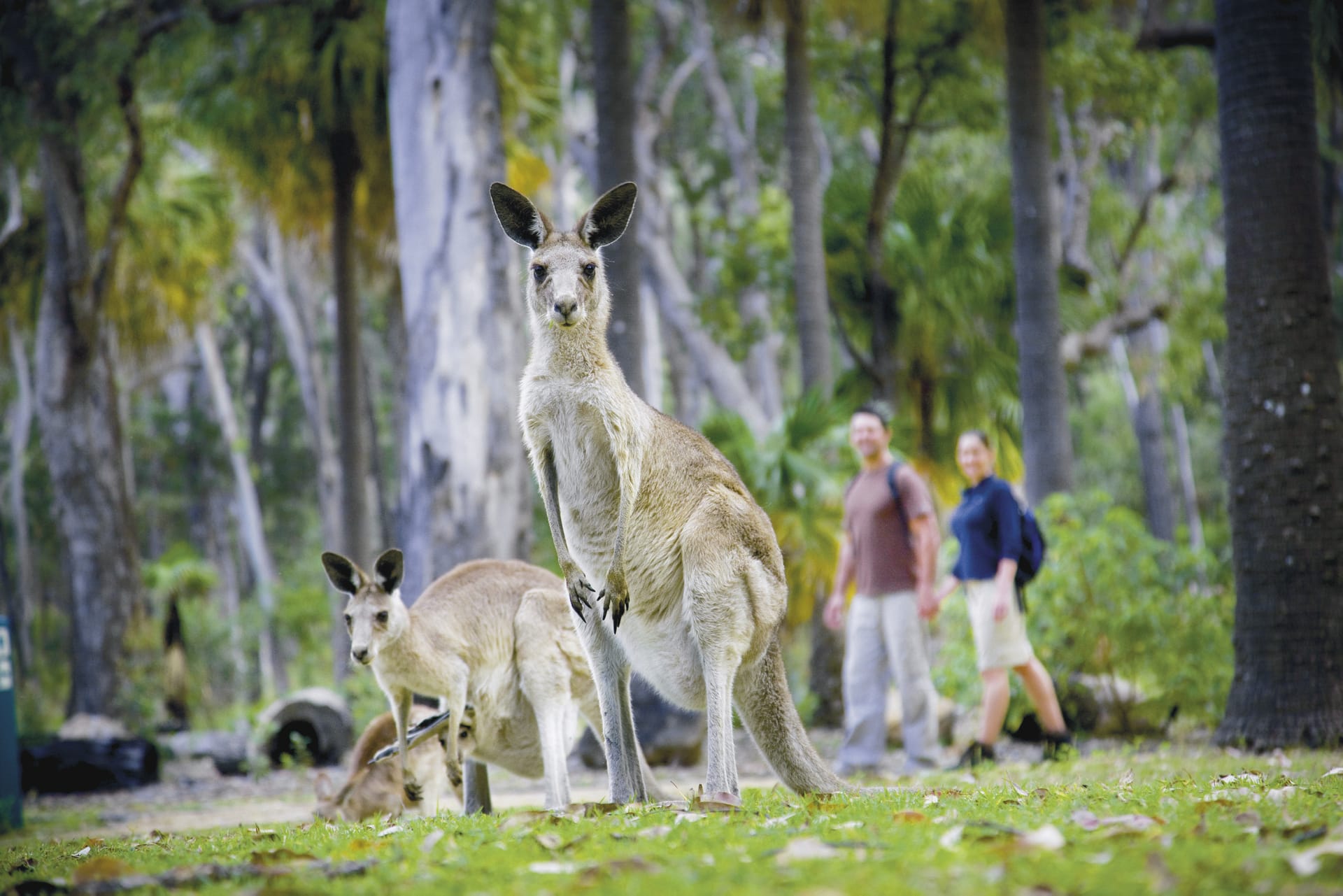 AUS_QLD_219_20100628_SS