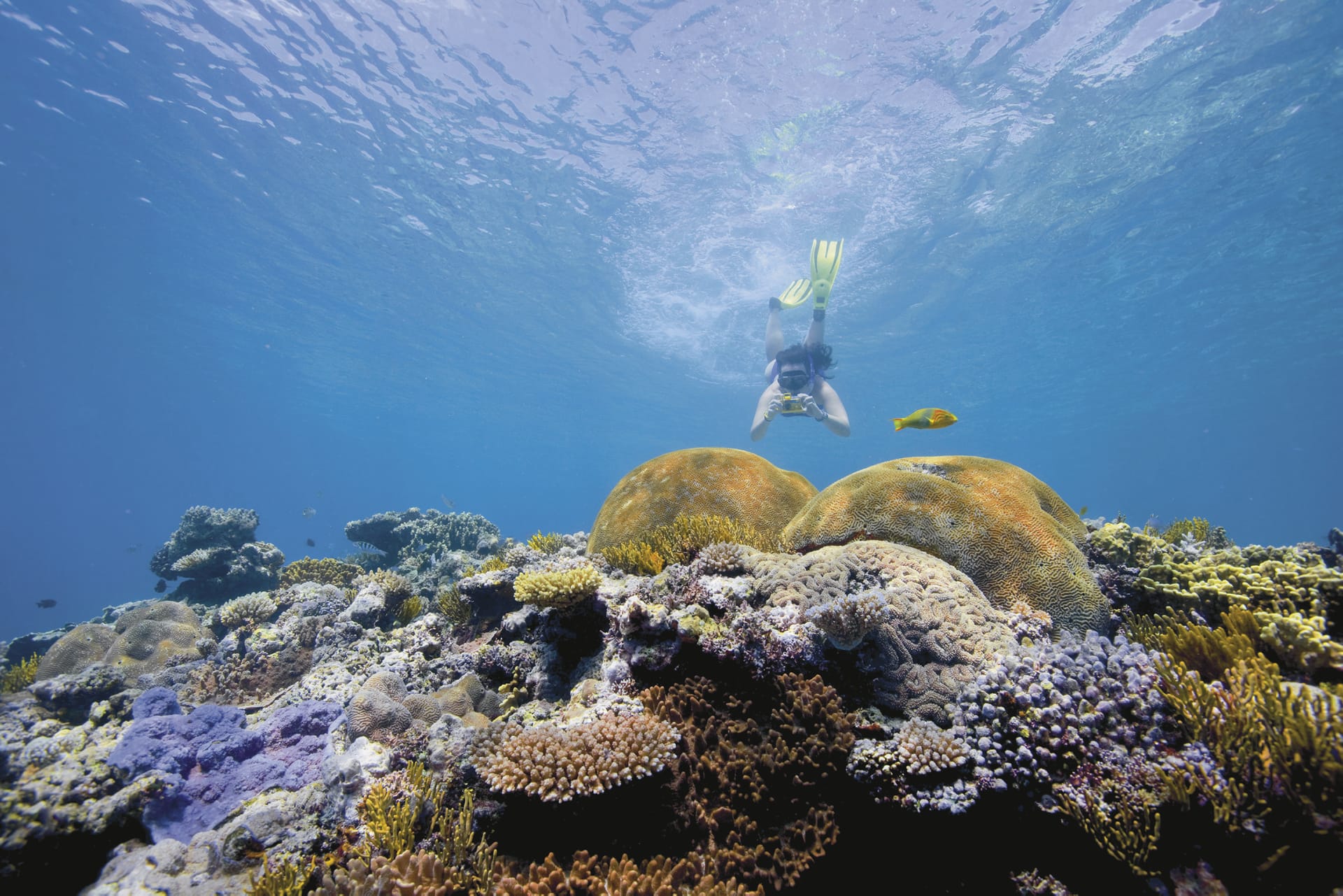 AUS_QLD_220_20100628_SS