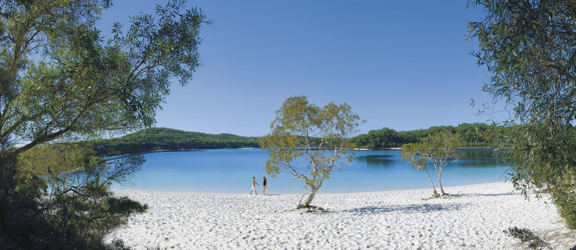 AUS_QLD_393_20091119_SS