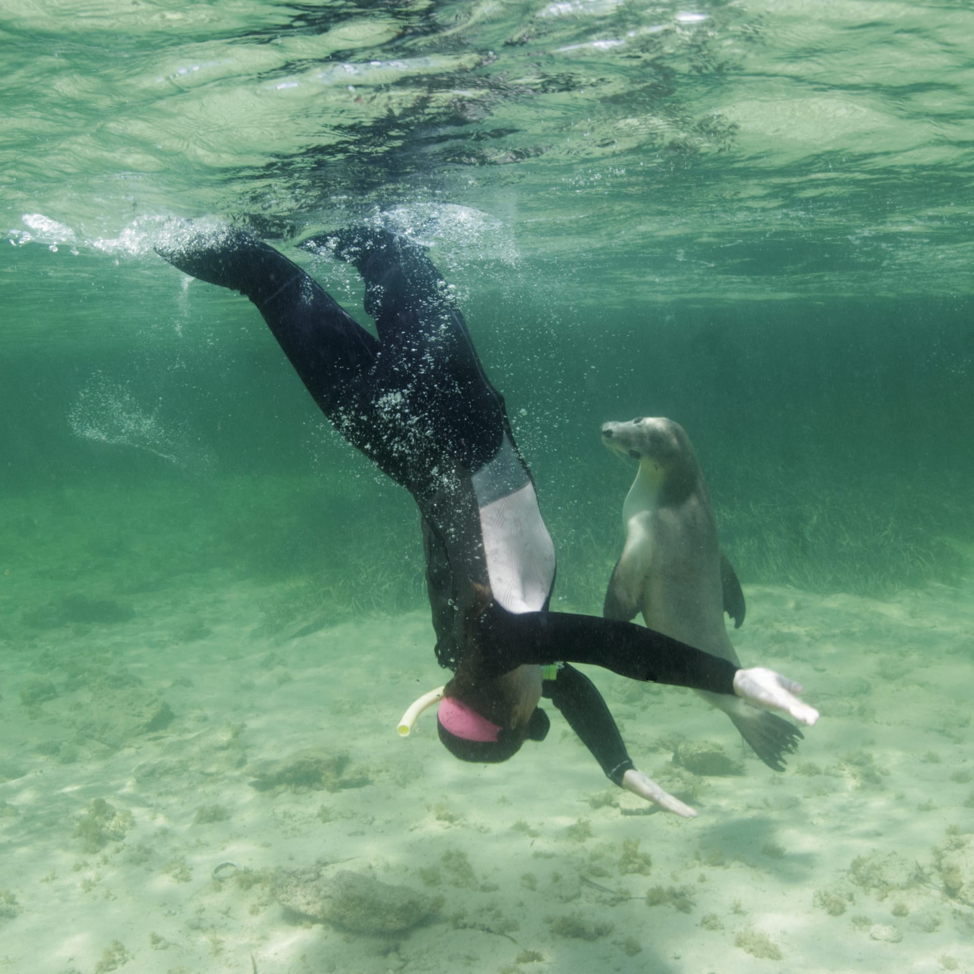 AUS_SA_002_20120920_IvB