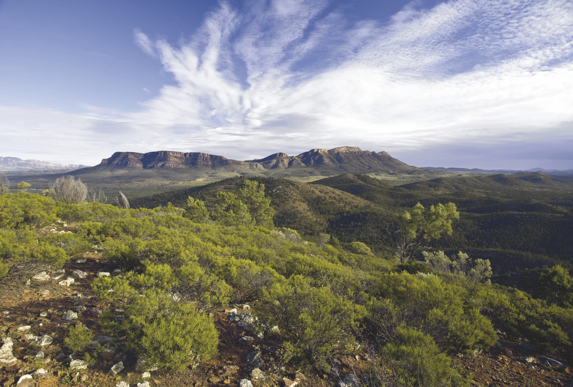 AUS_SA_013_20080703_SS