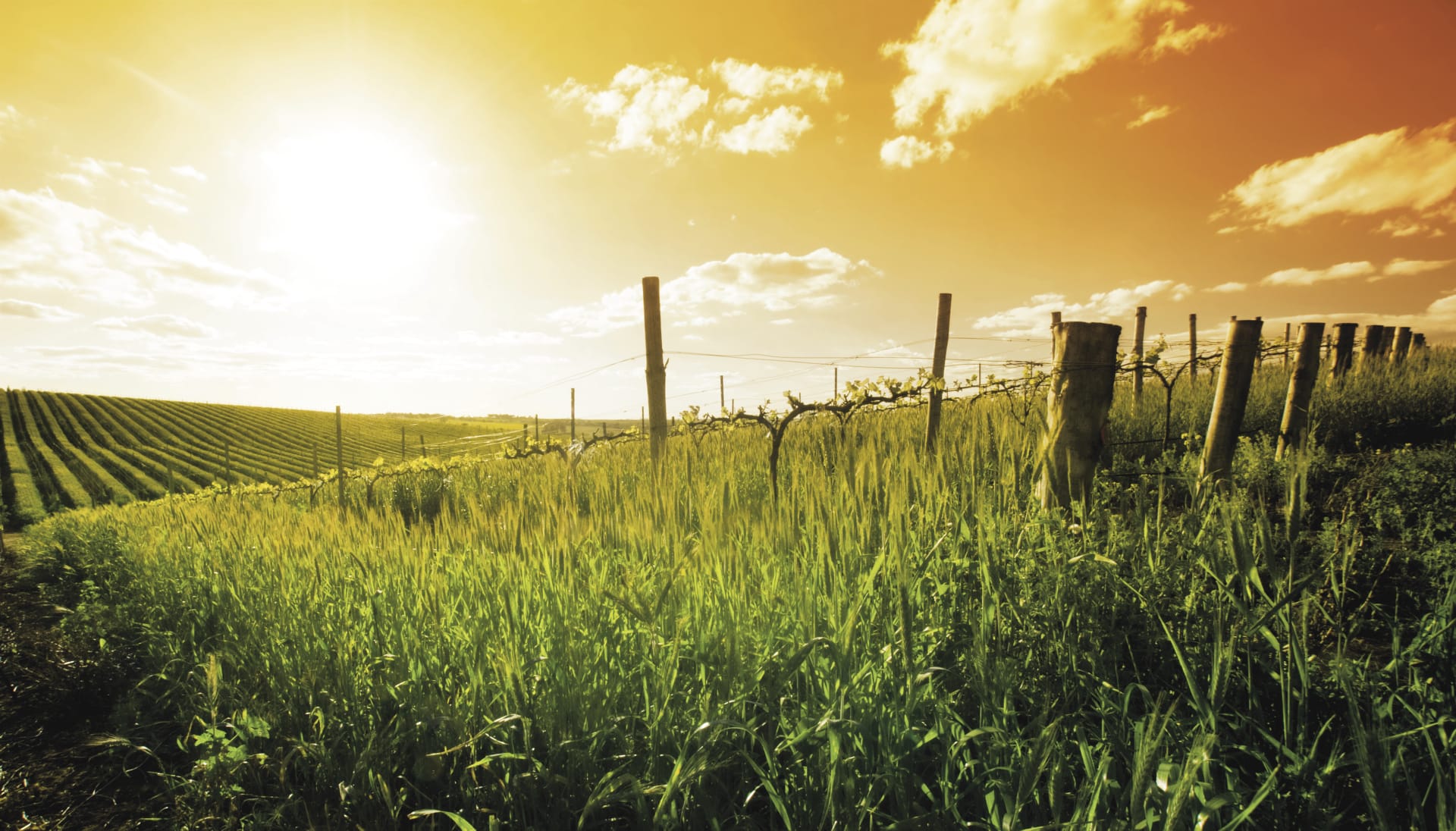 AUS_SA_022_20170912_IvB