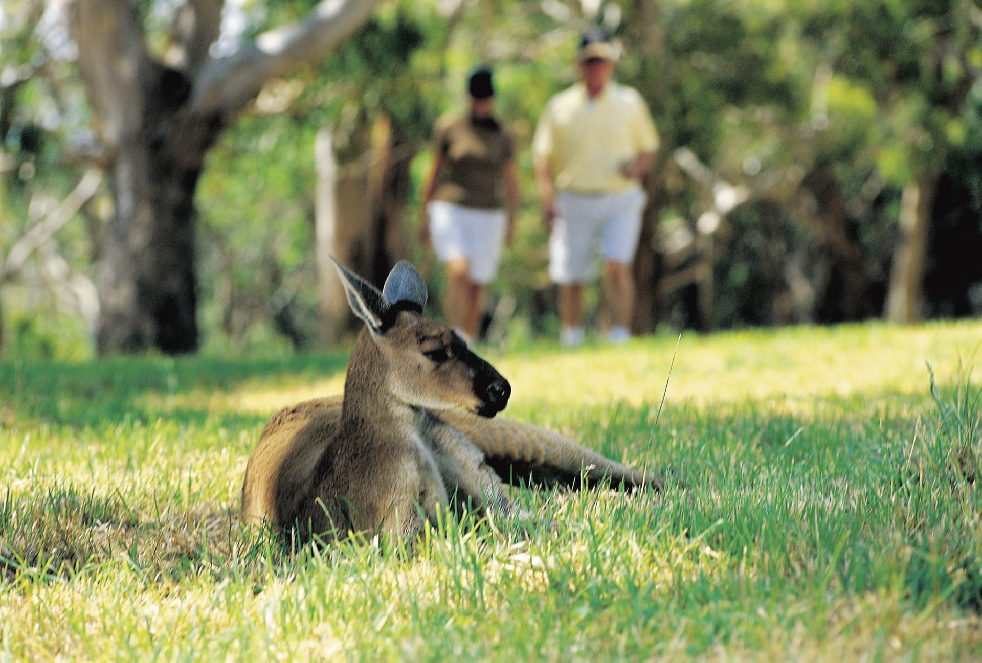 AUS_SA_027_20120215_IvB