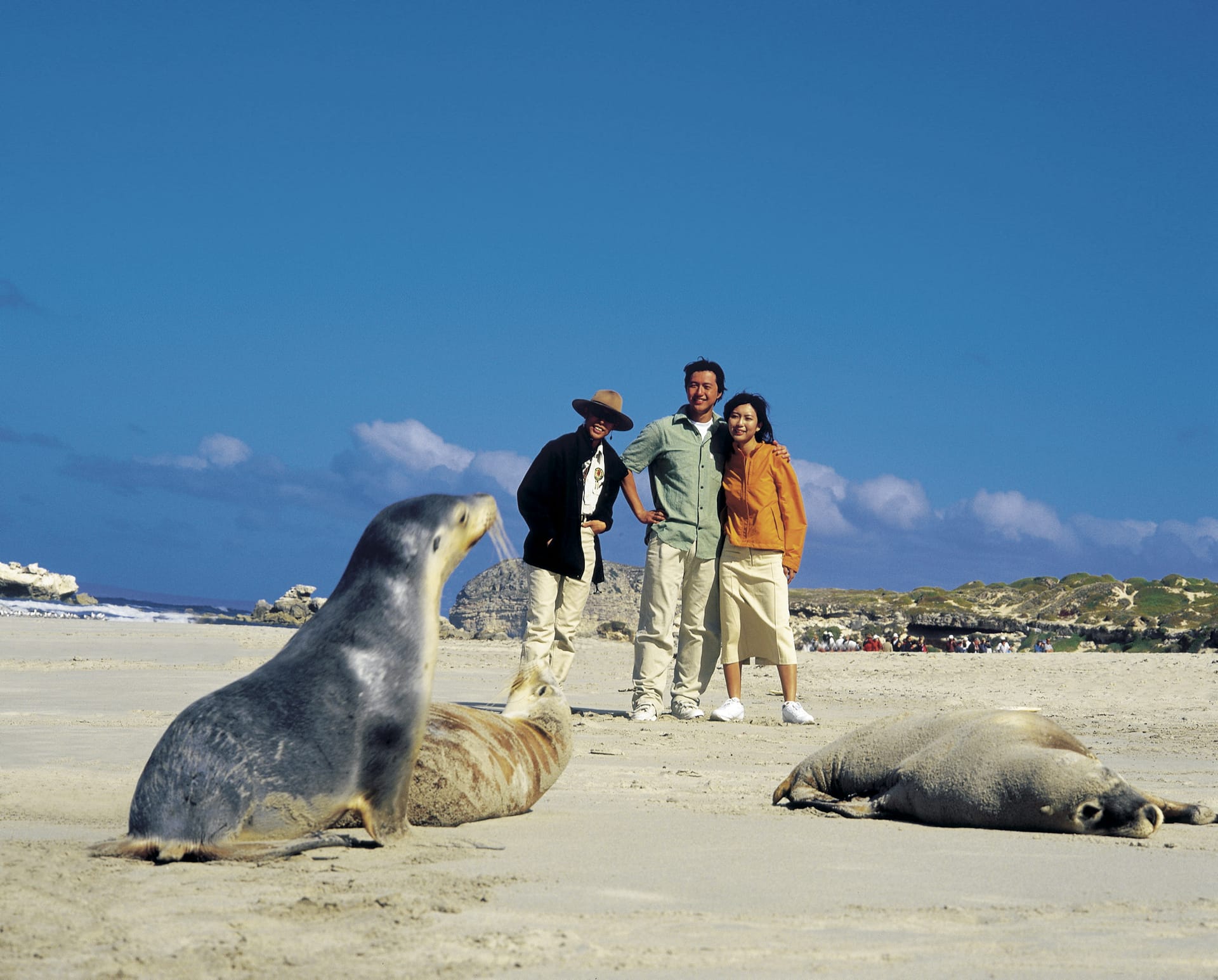 AUS_SA_034_20120208_IvB