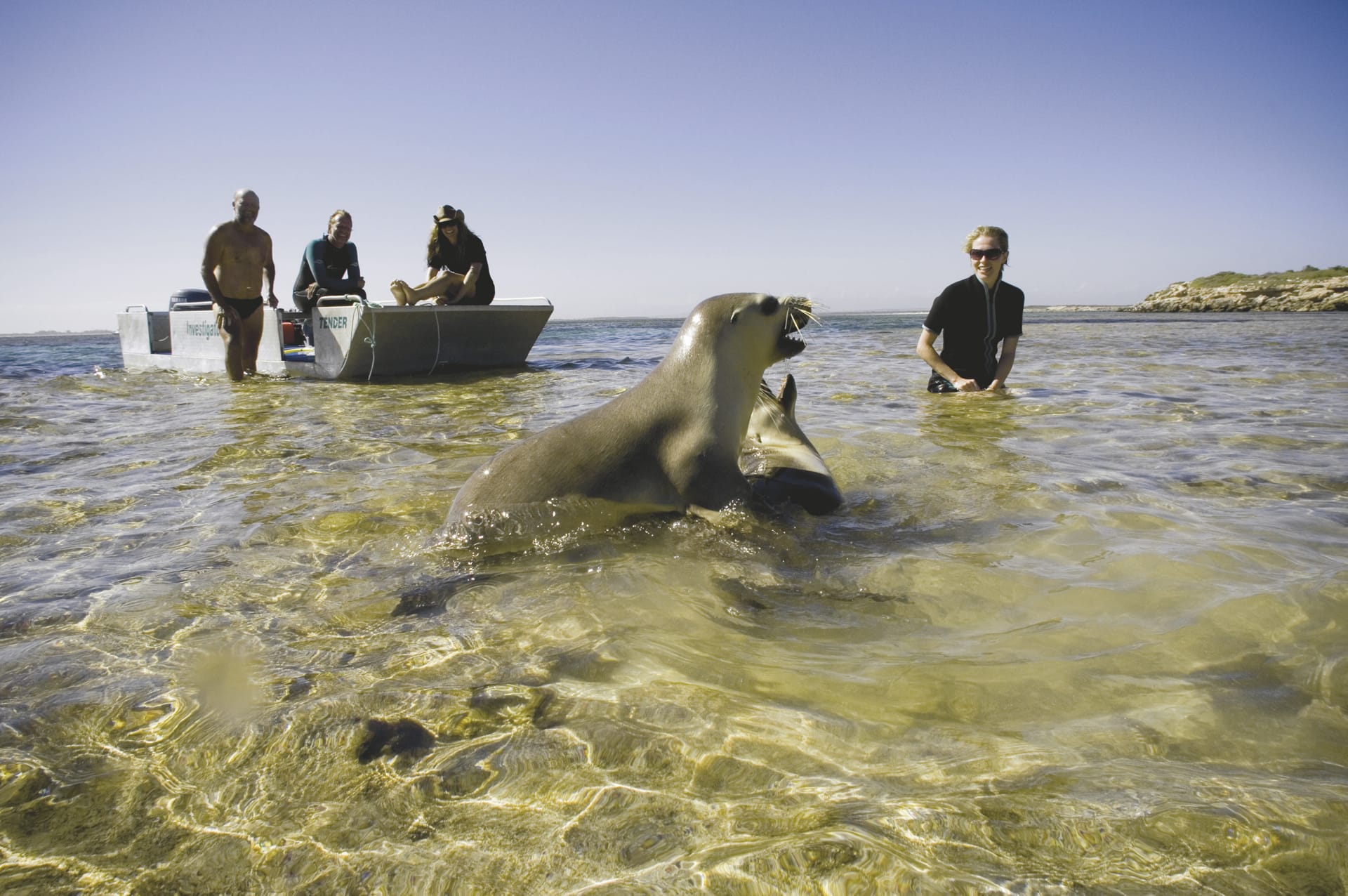 AUS_SA_1432_20071015_IVB