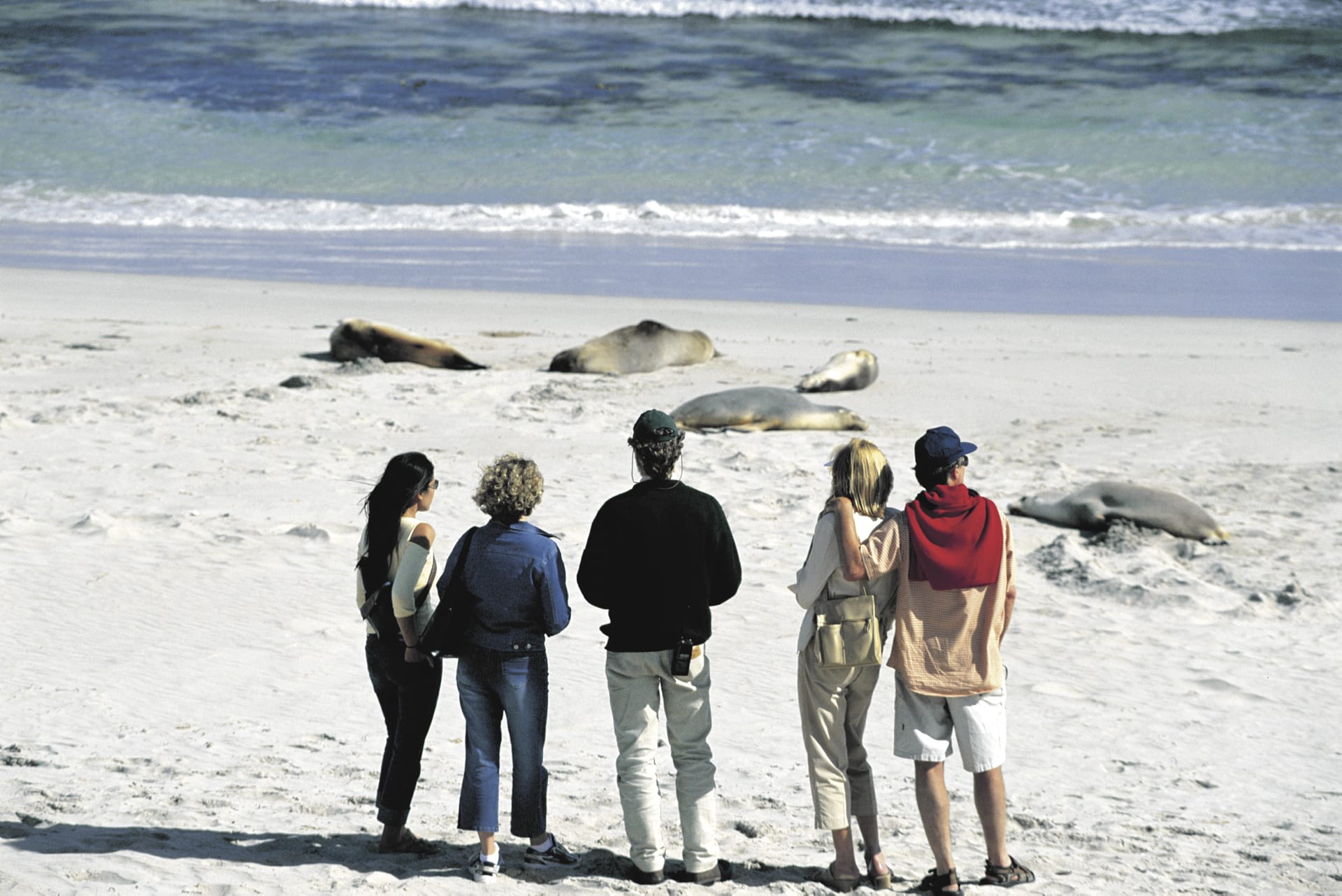 AUS_SA_1603_20071029_IVB