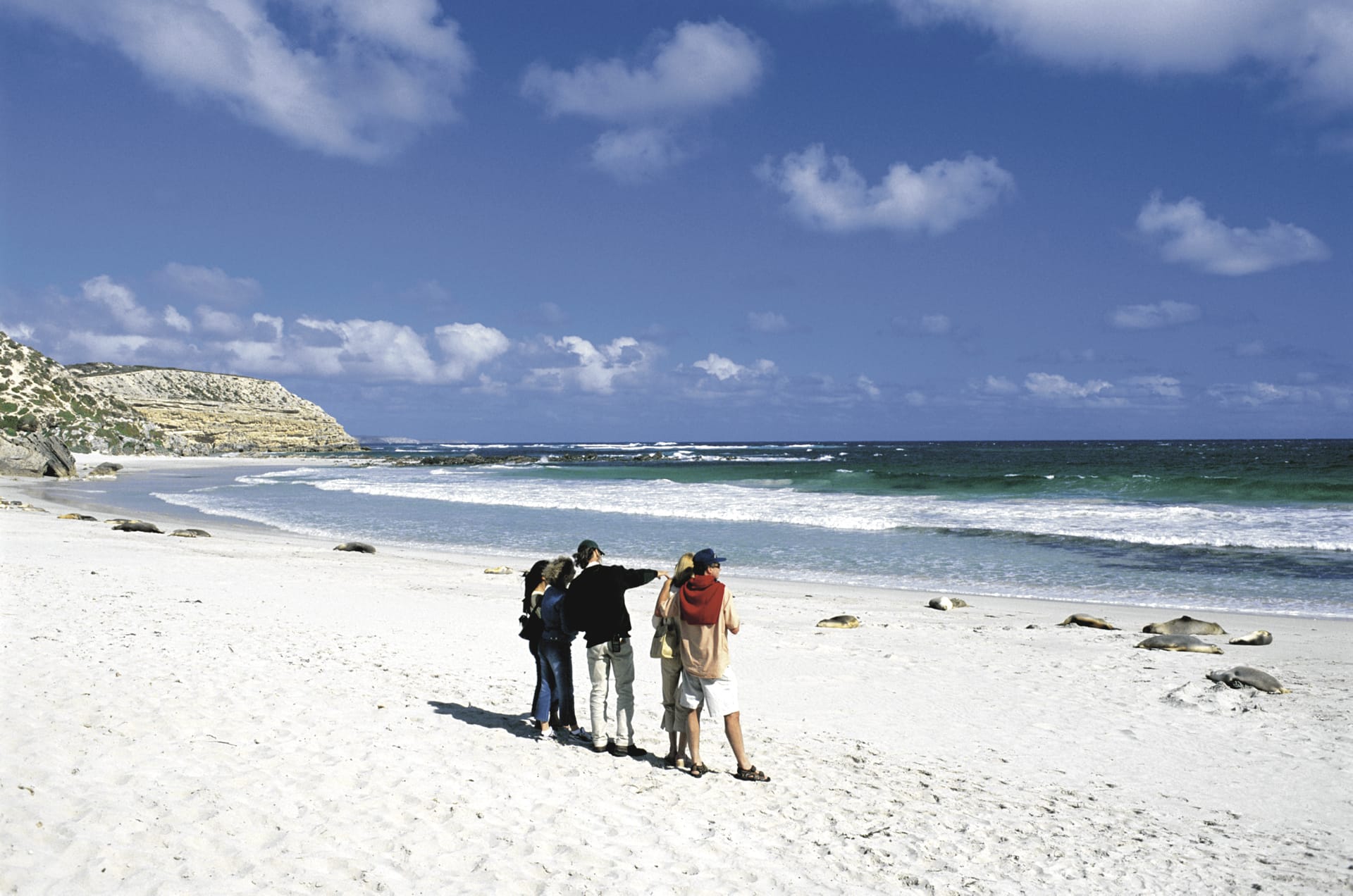 AUS_SA_1604_20071029_IVB