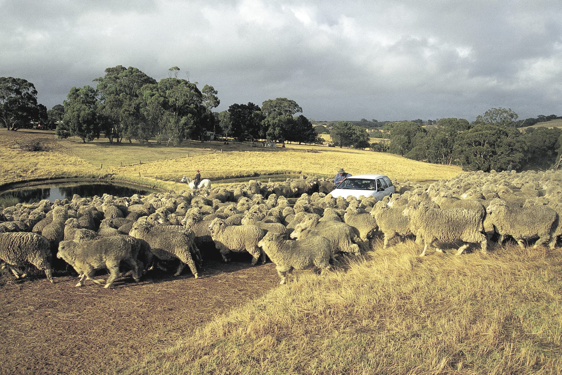 AUS_SA_1647_20071029_IVB