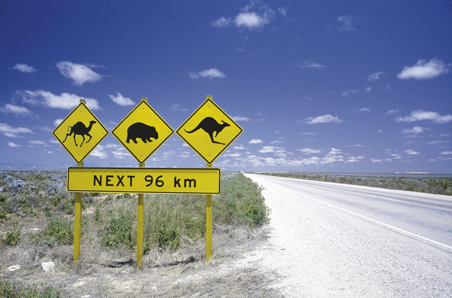 AUS_SA_195_20100625_SS