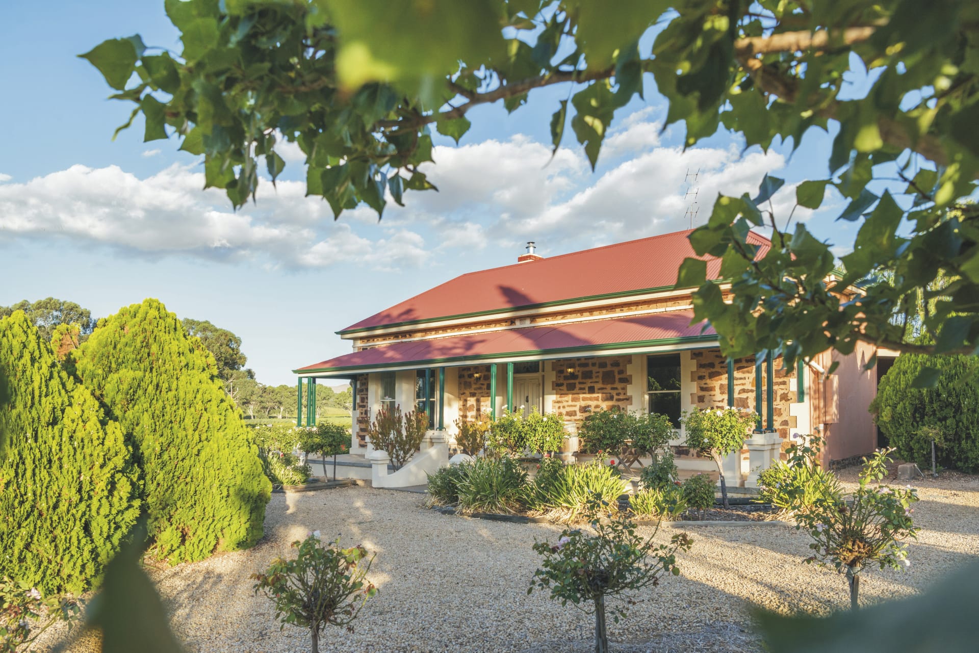 AUS_SA_20180807_BR_26