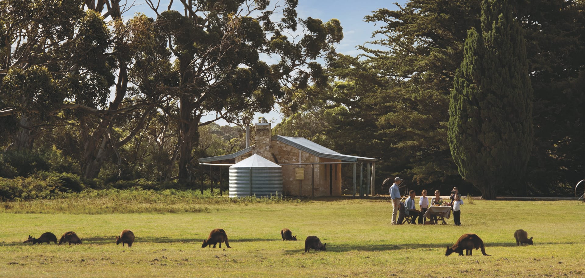 AUS_SA_20181028_IVB_1