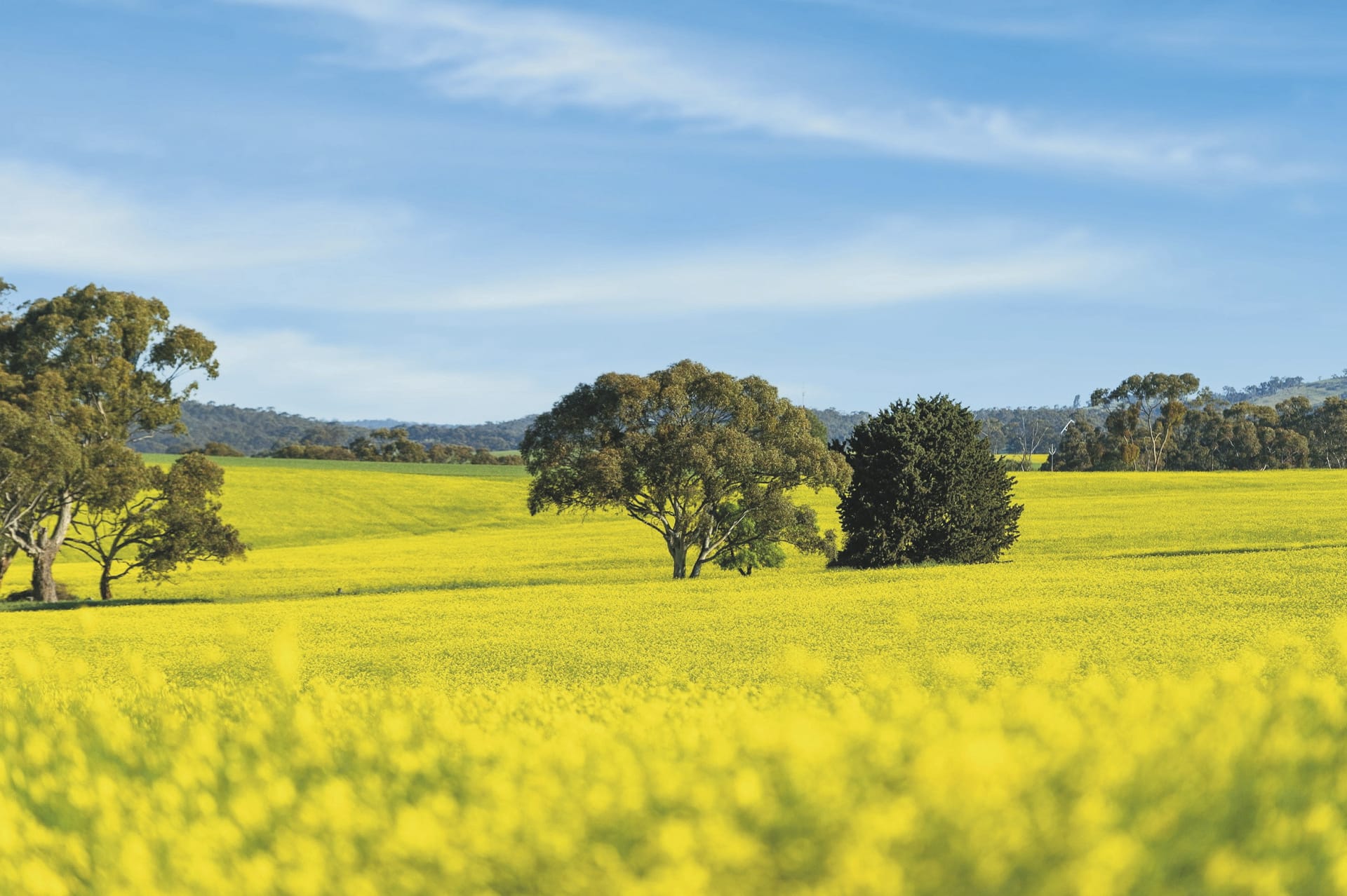 AUS_SA_20220908_BR_20