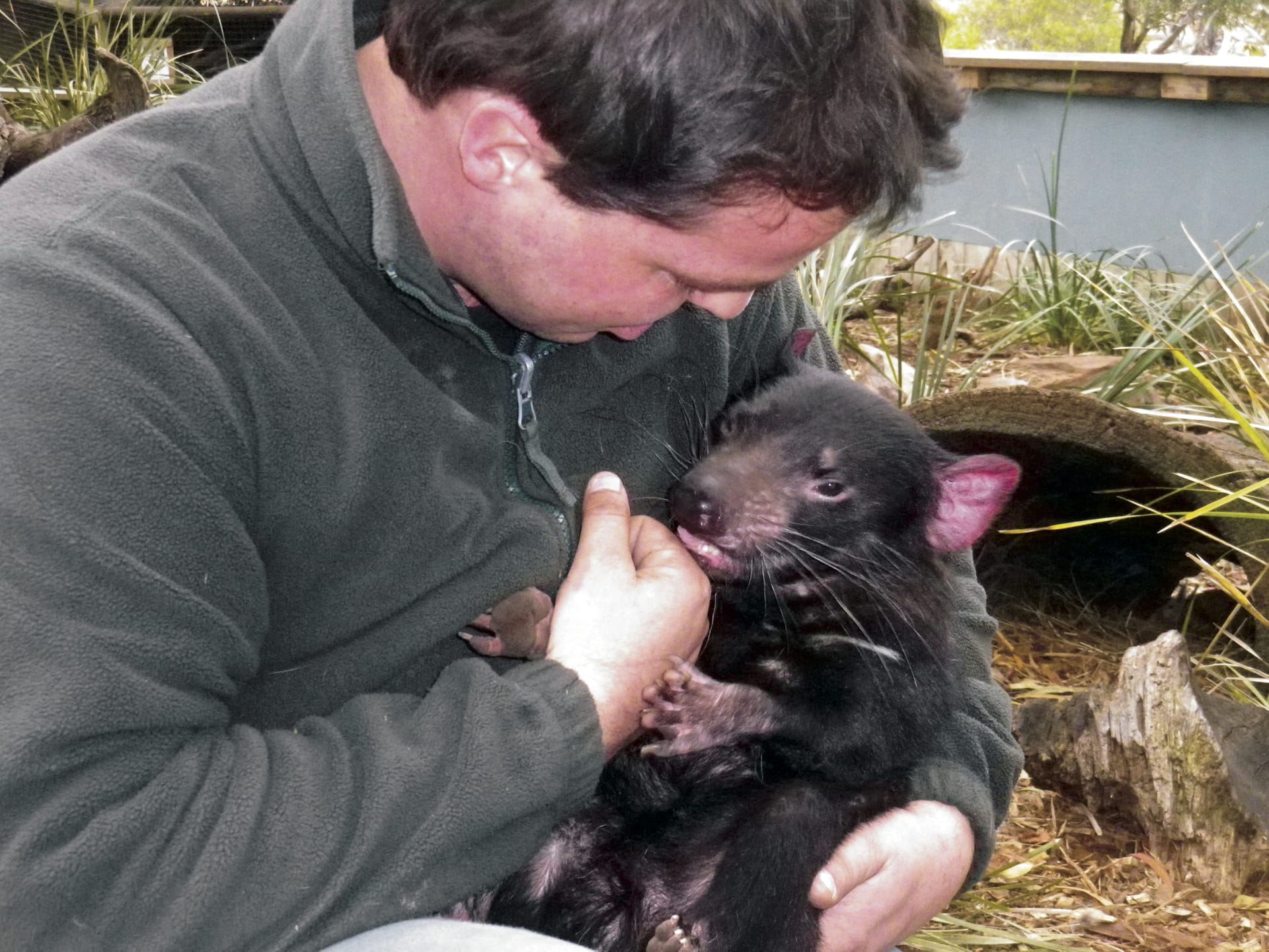 AUS_TAS_014_20141009_BR