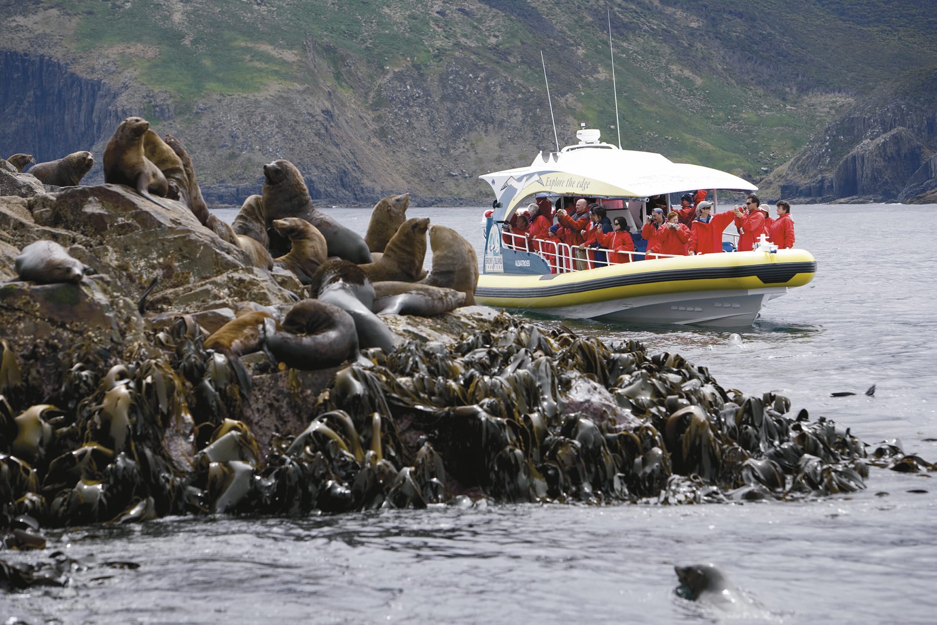 AUS_TAS_054_20100903_IvB