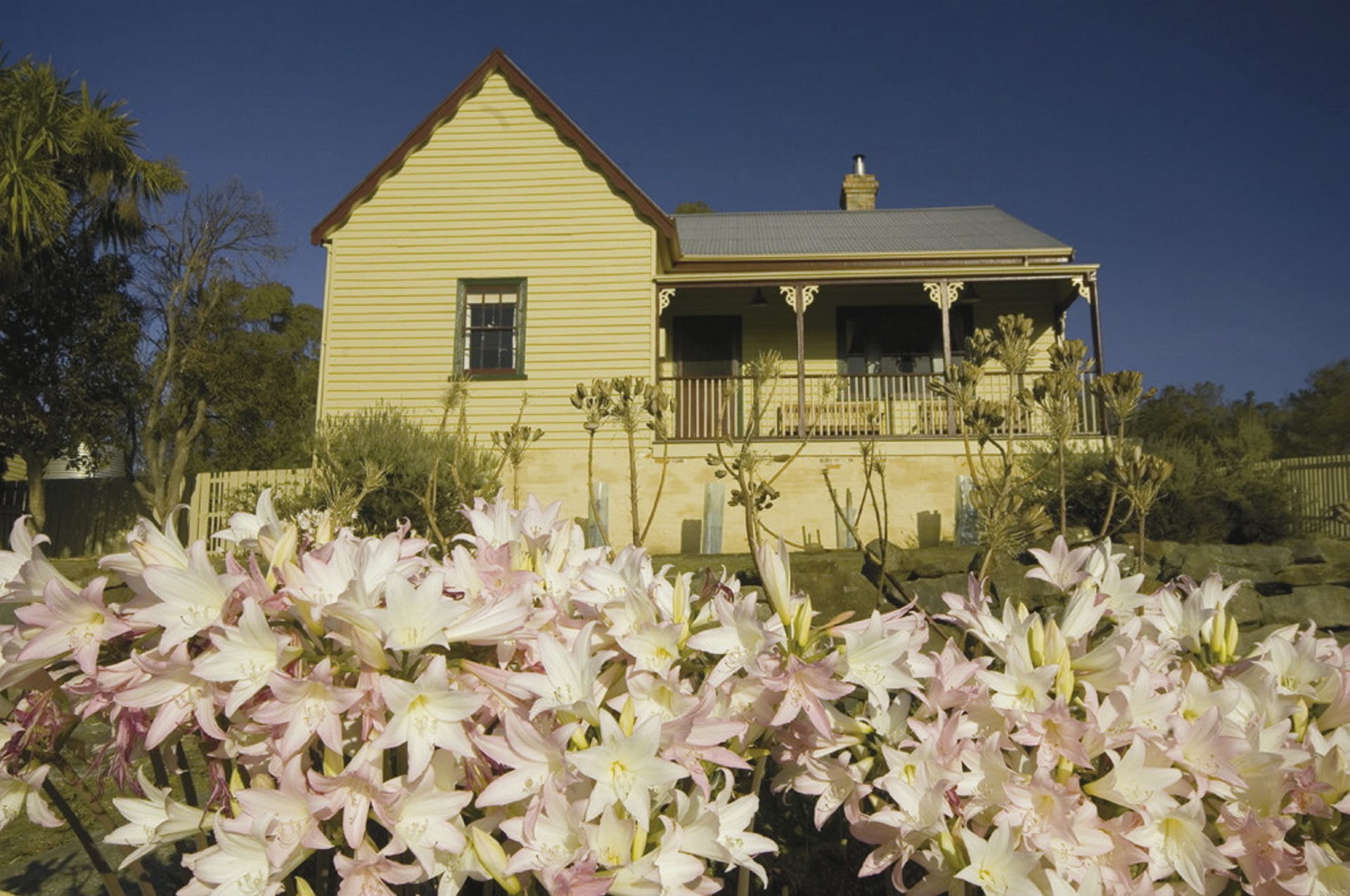 AUS_TAS_139_20081007_IVB