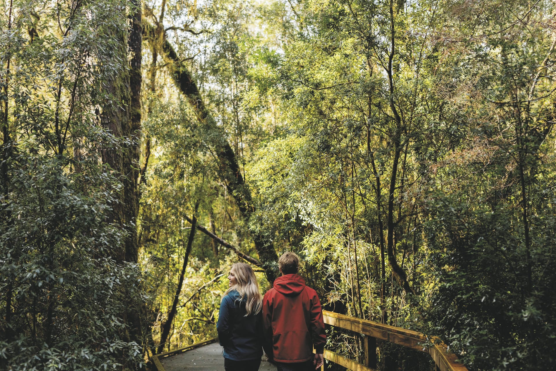 AUS_TAS_20180829_IVB_46