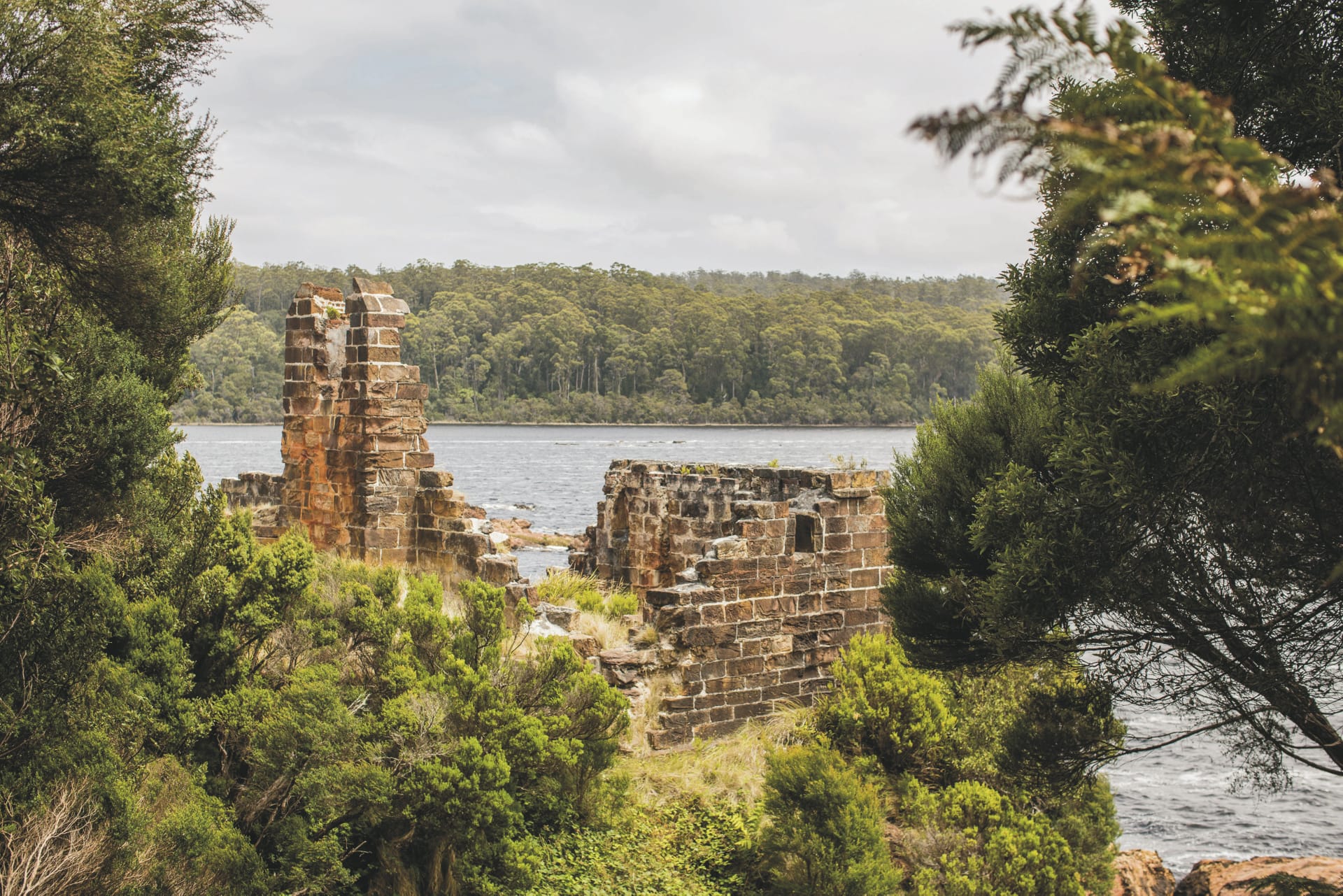 AUS_TAS_20180829_IVB_66